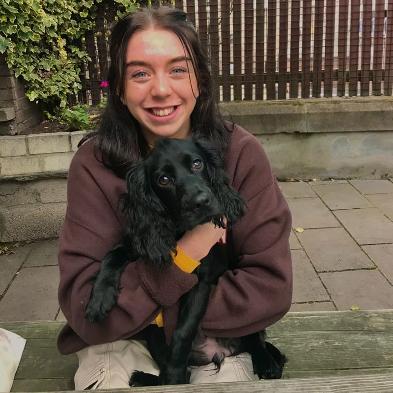 Cara
