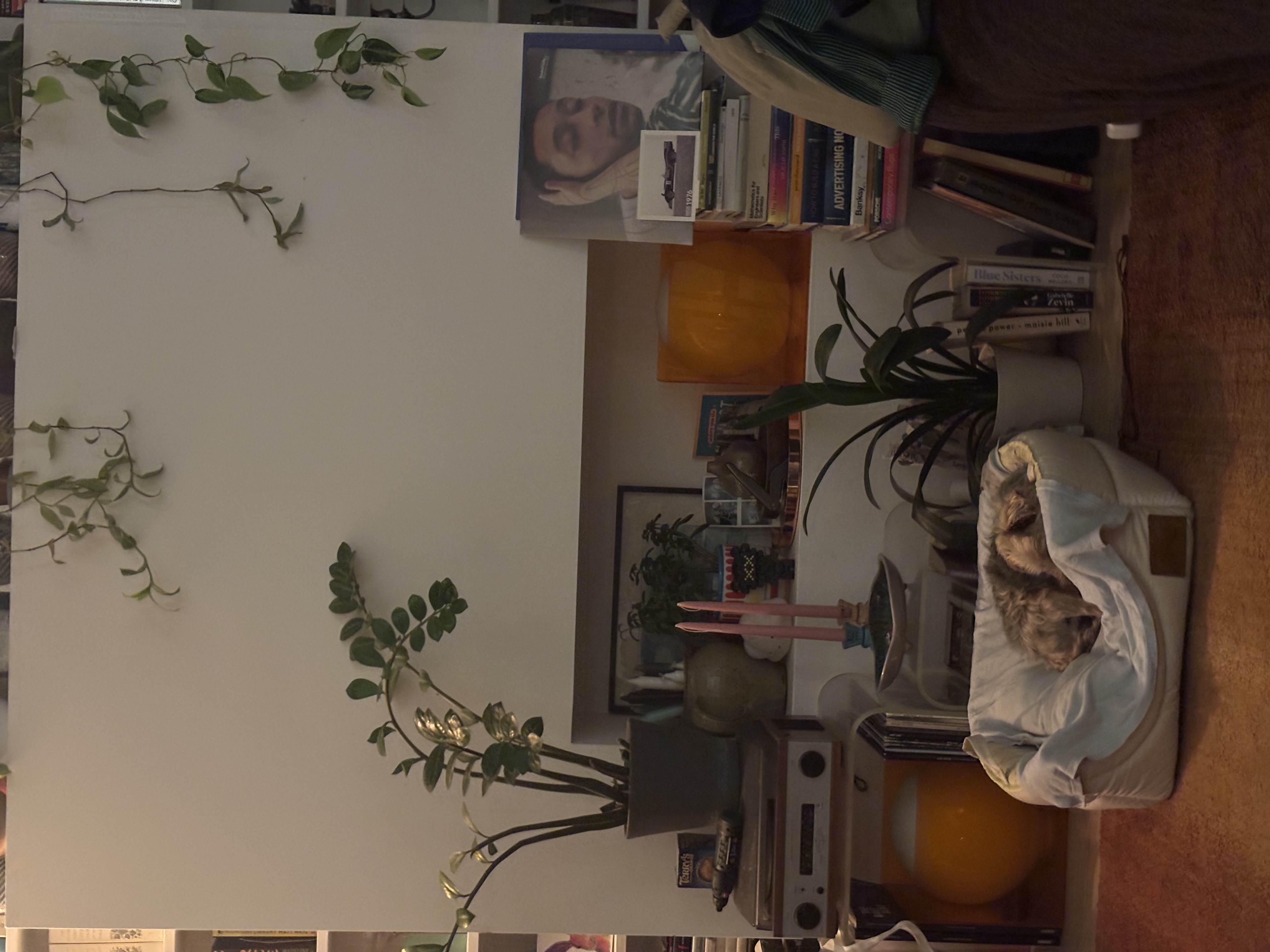 image-9