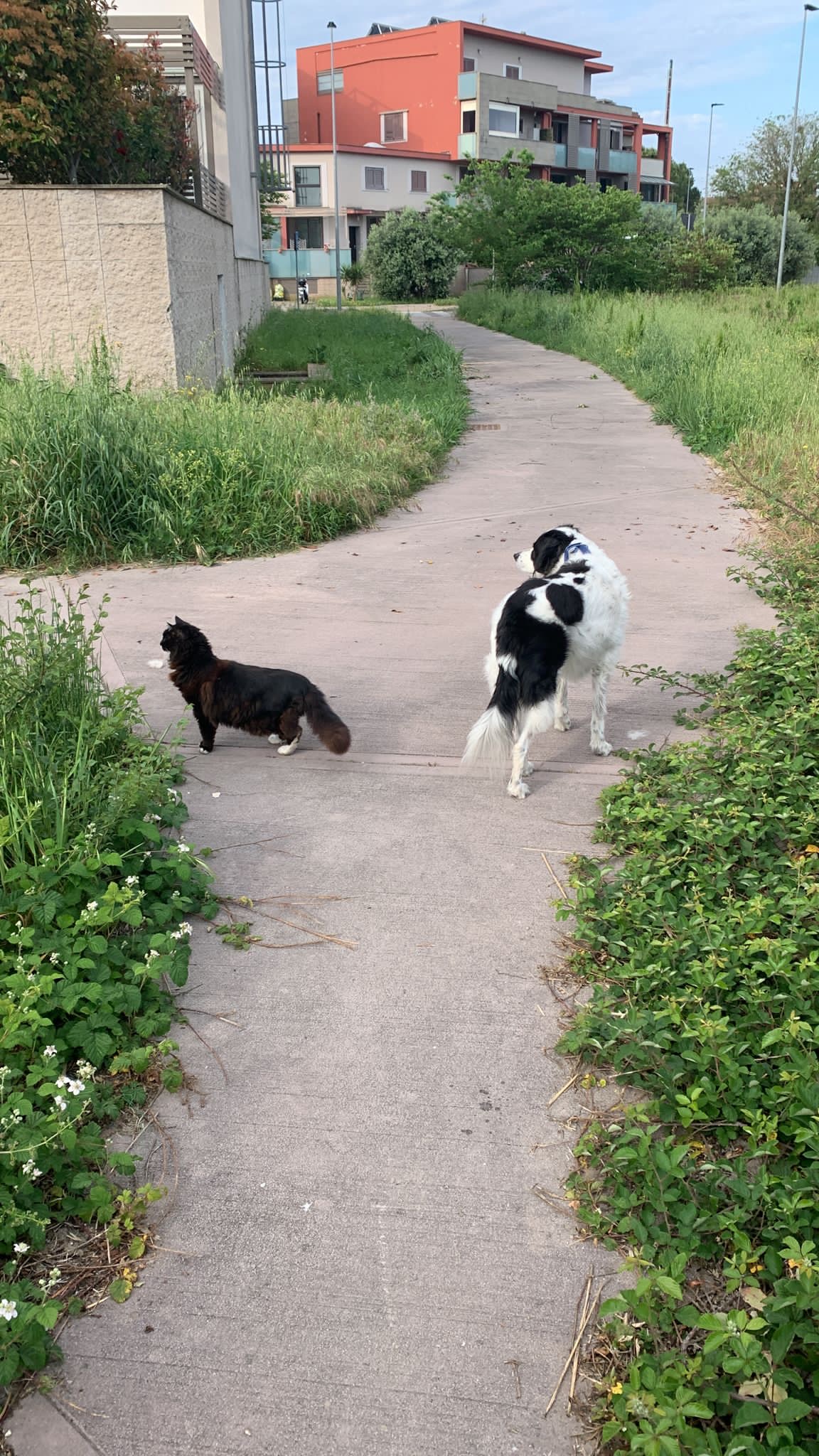 image-20