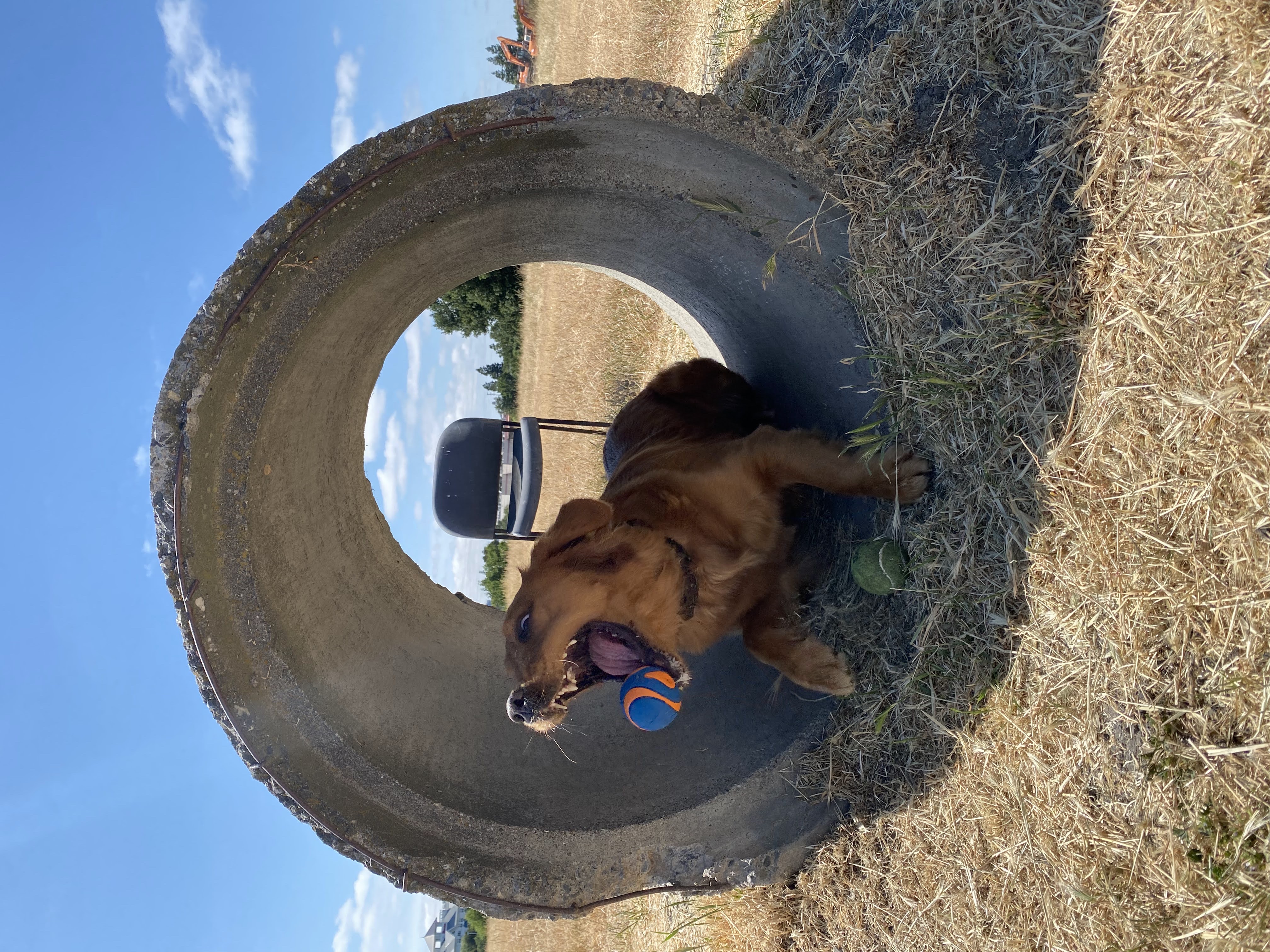 image-6