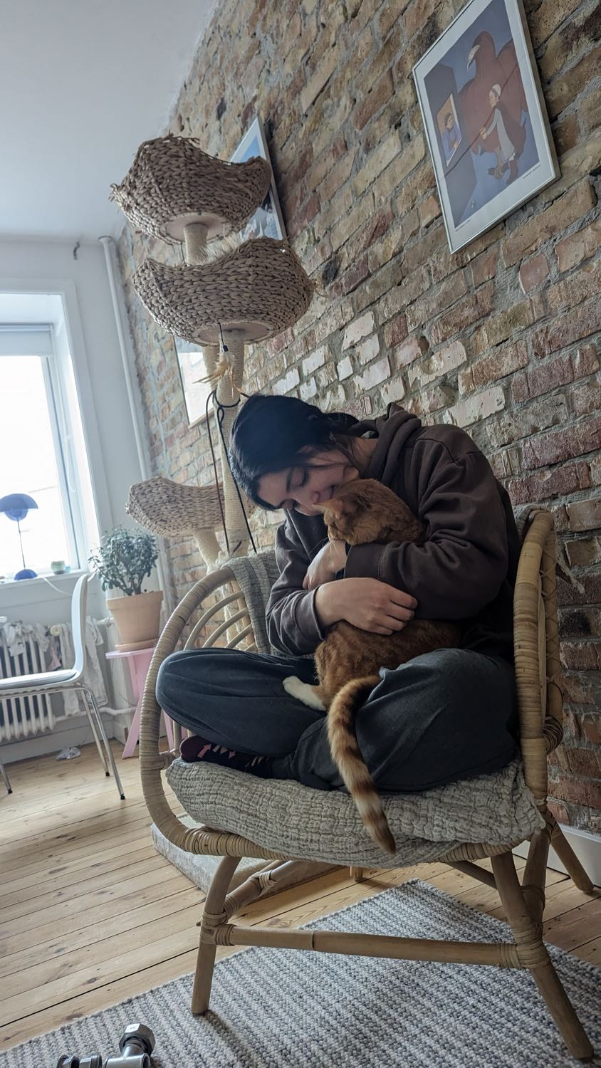 image-4