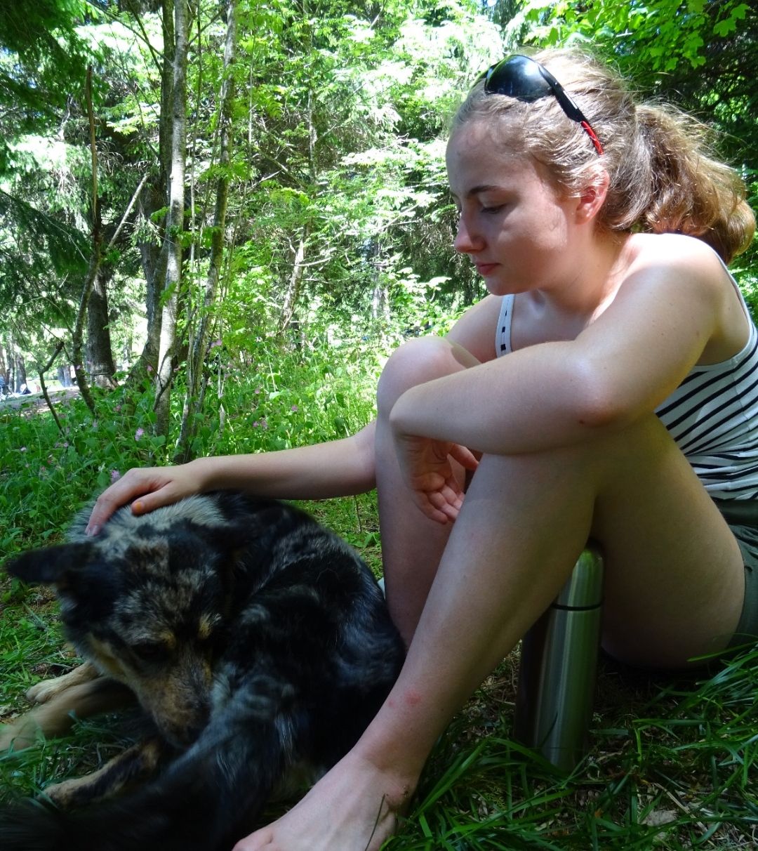 image-6