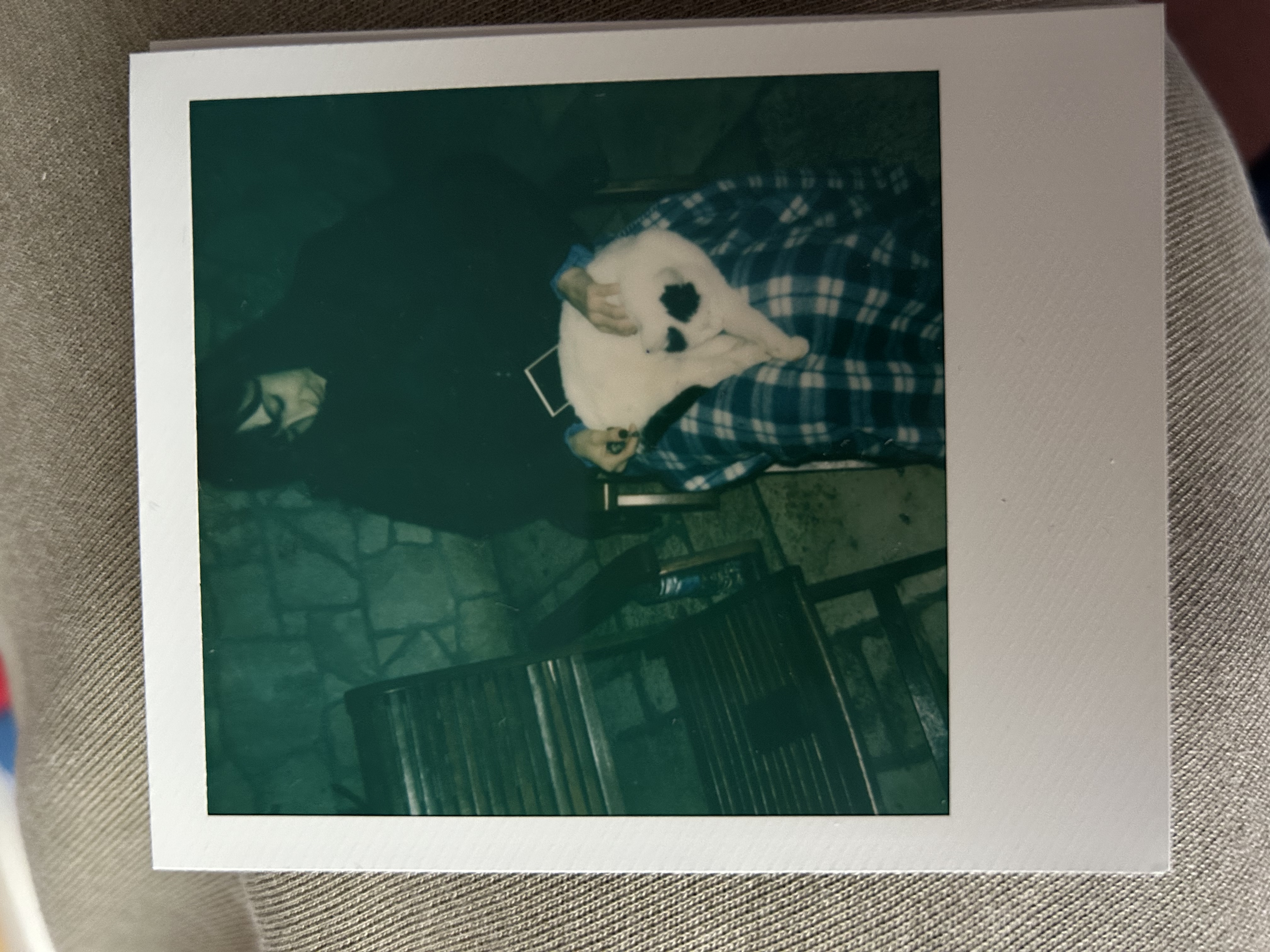 image-7