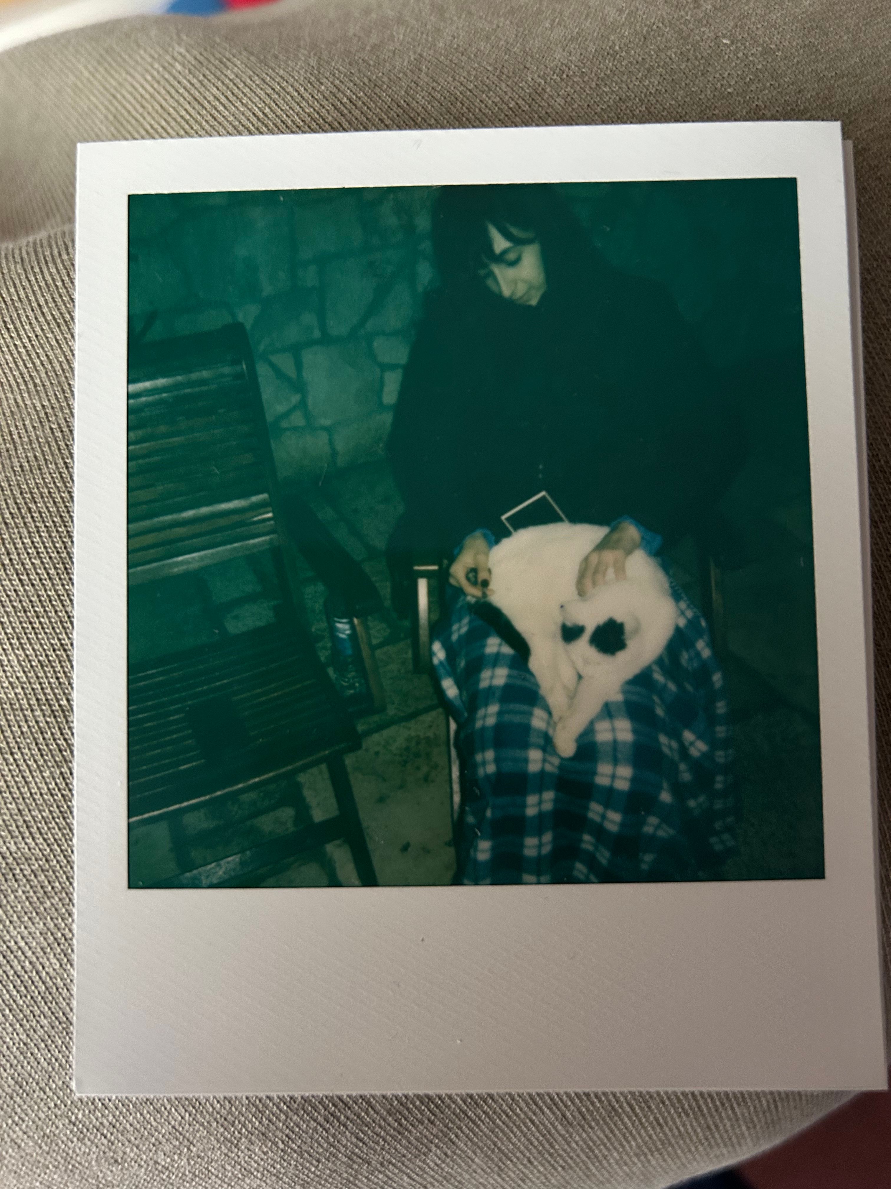 image-7