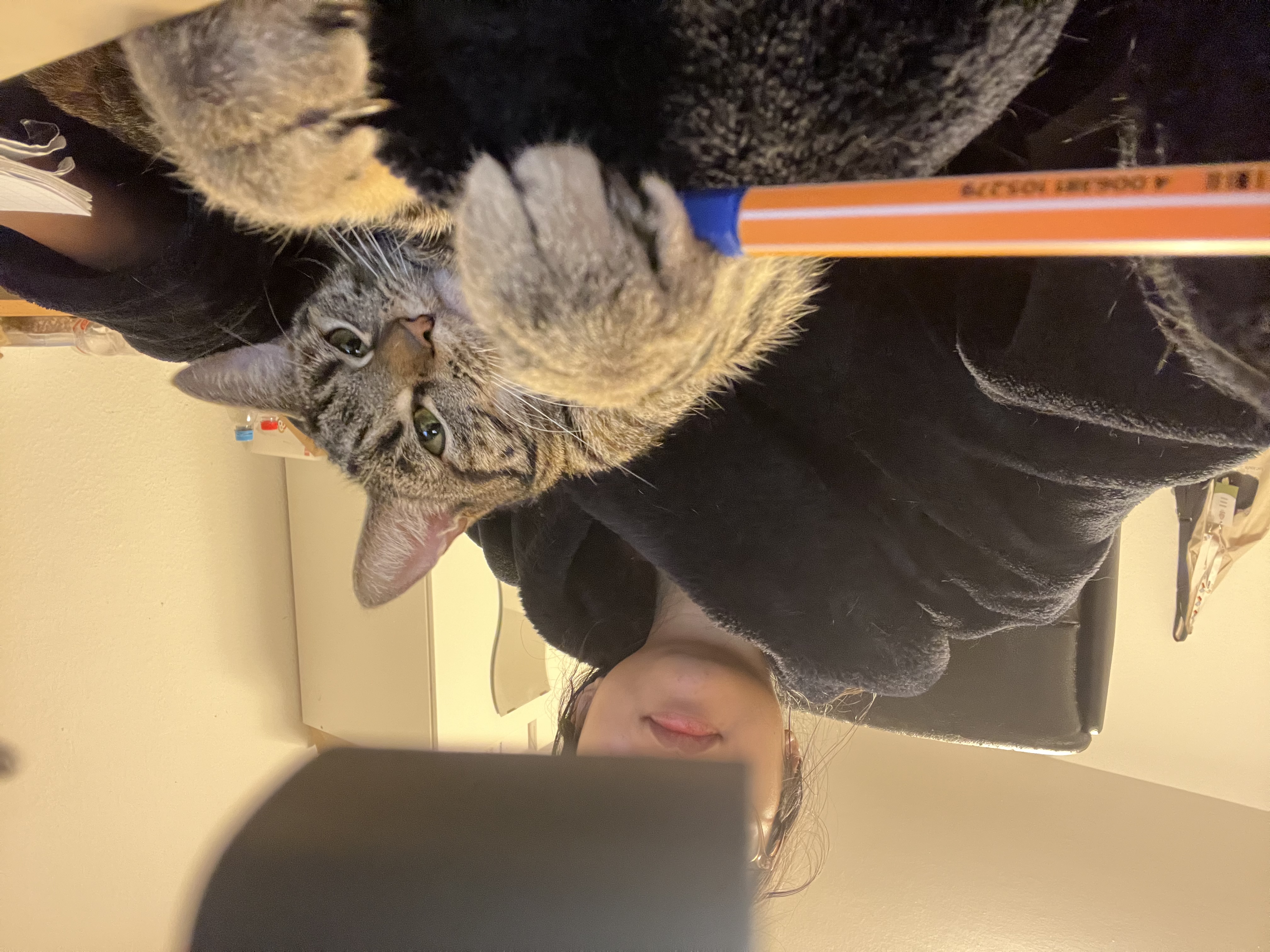 image-6