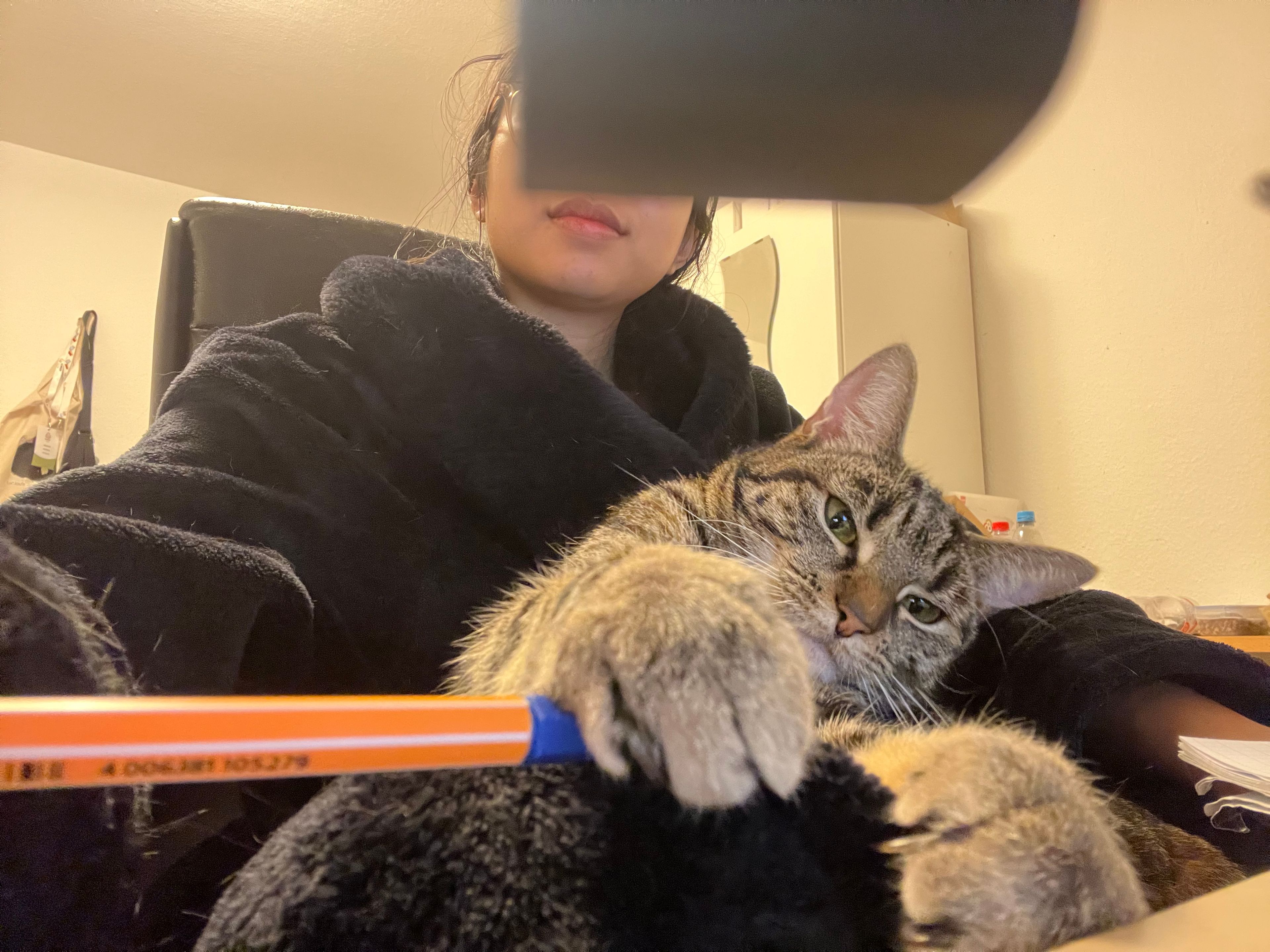image-6