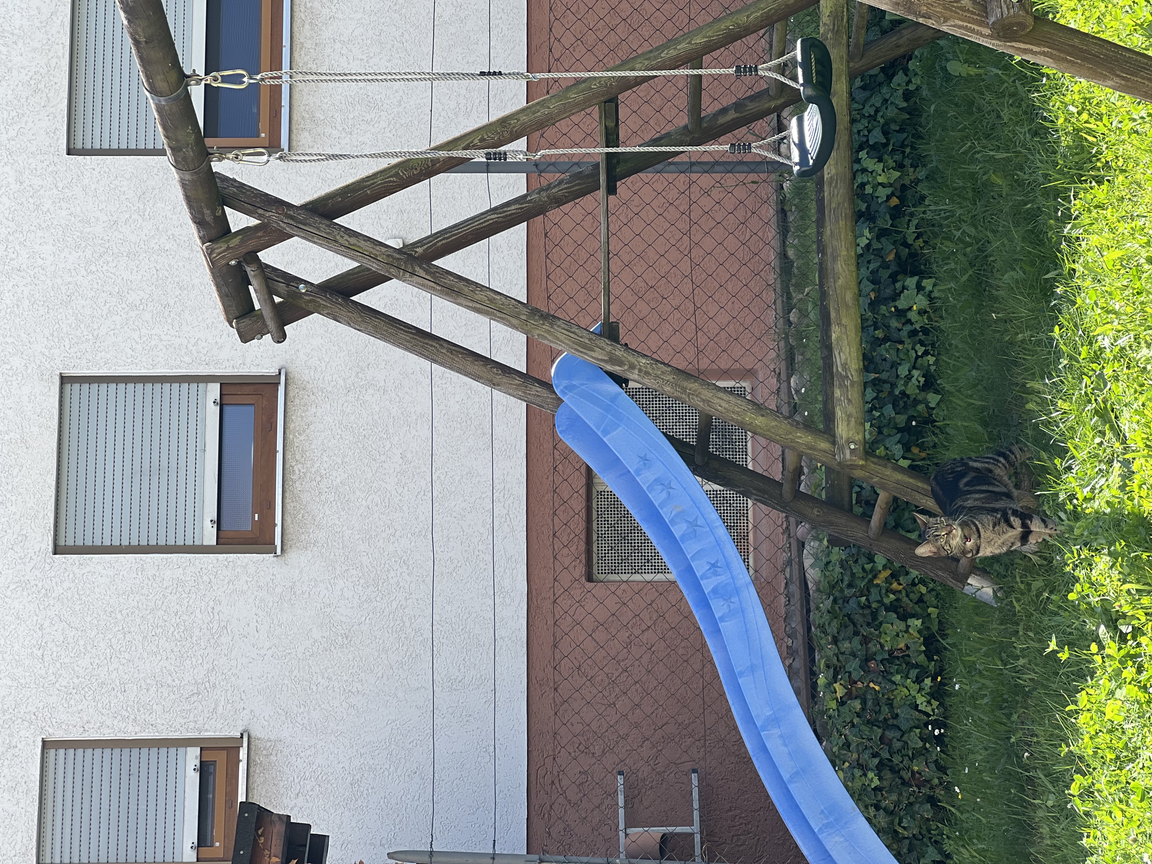 image-20