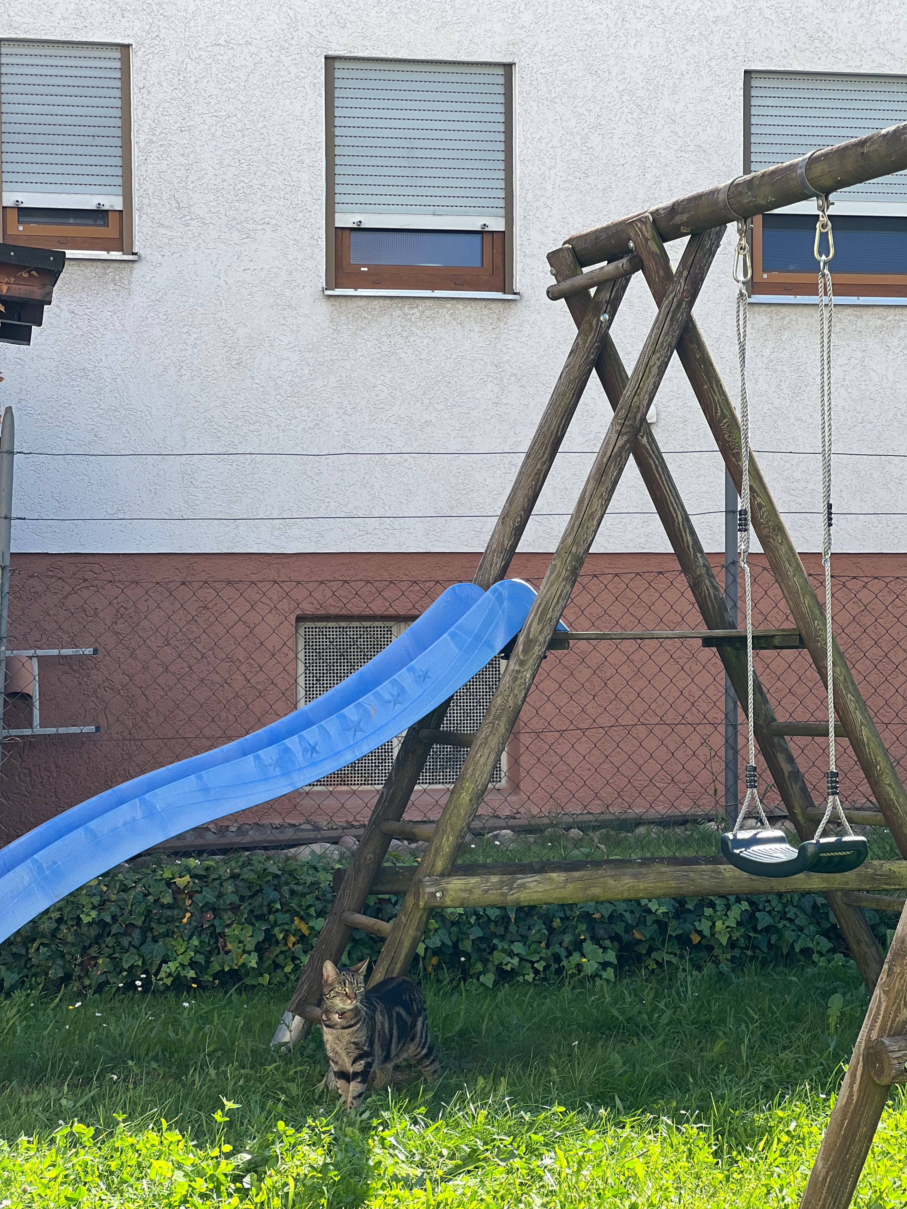 image-20