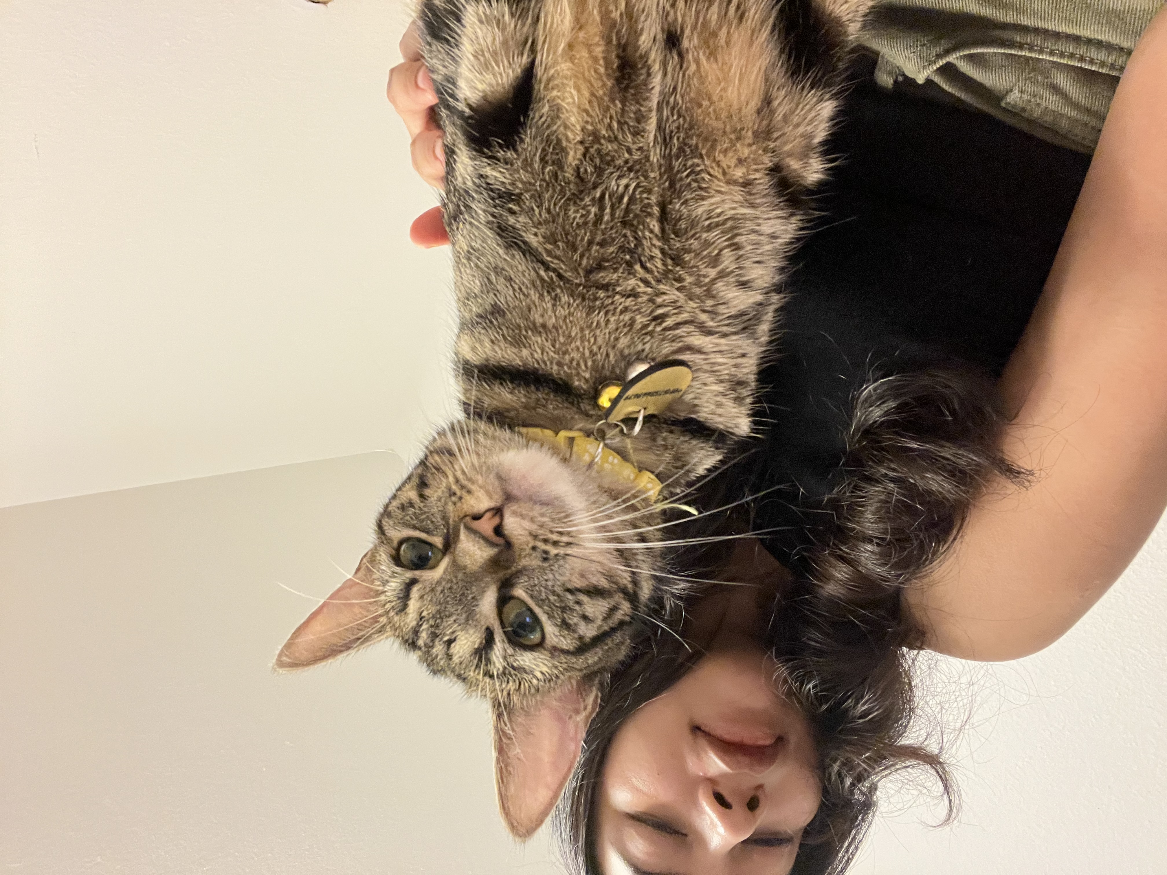 image-8
