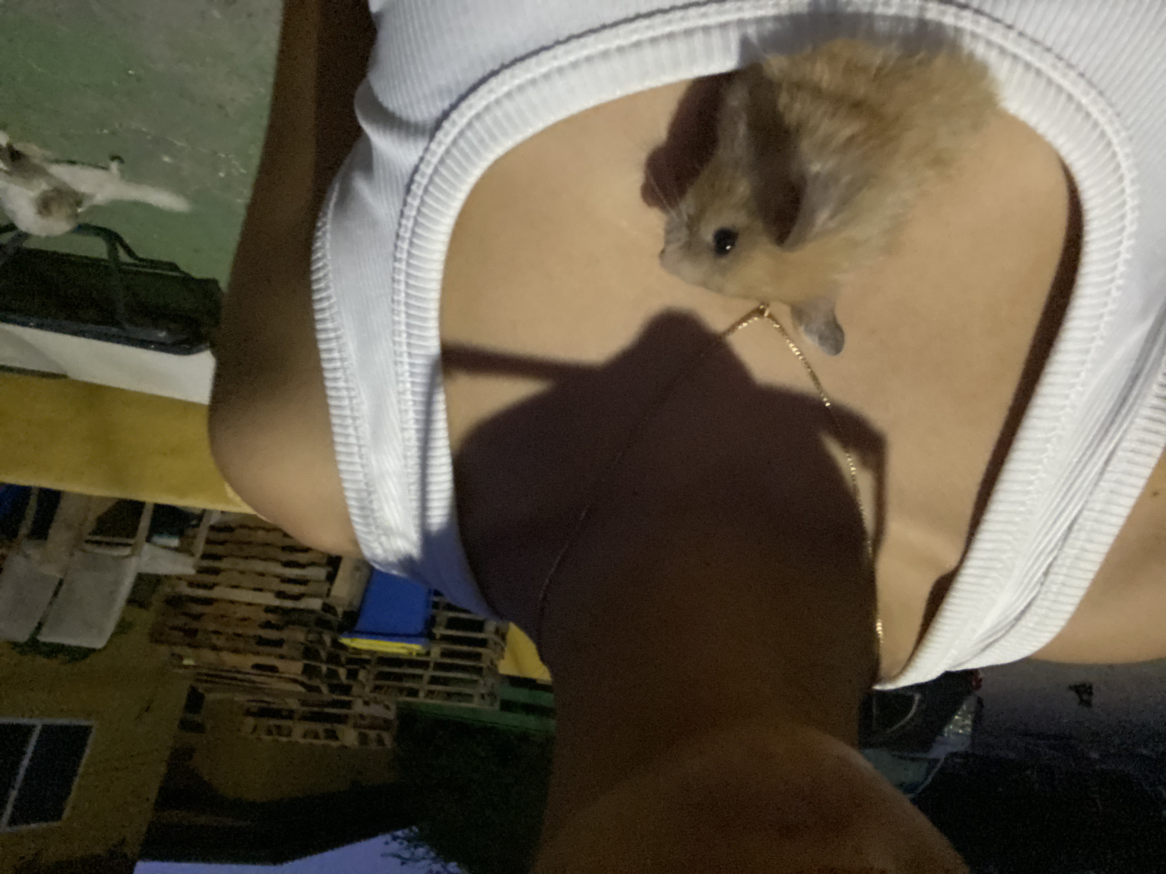 image-4