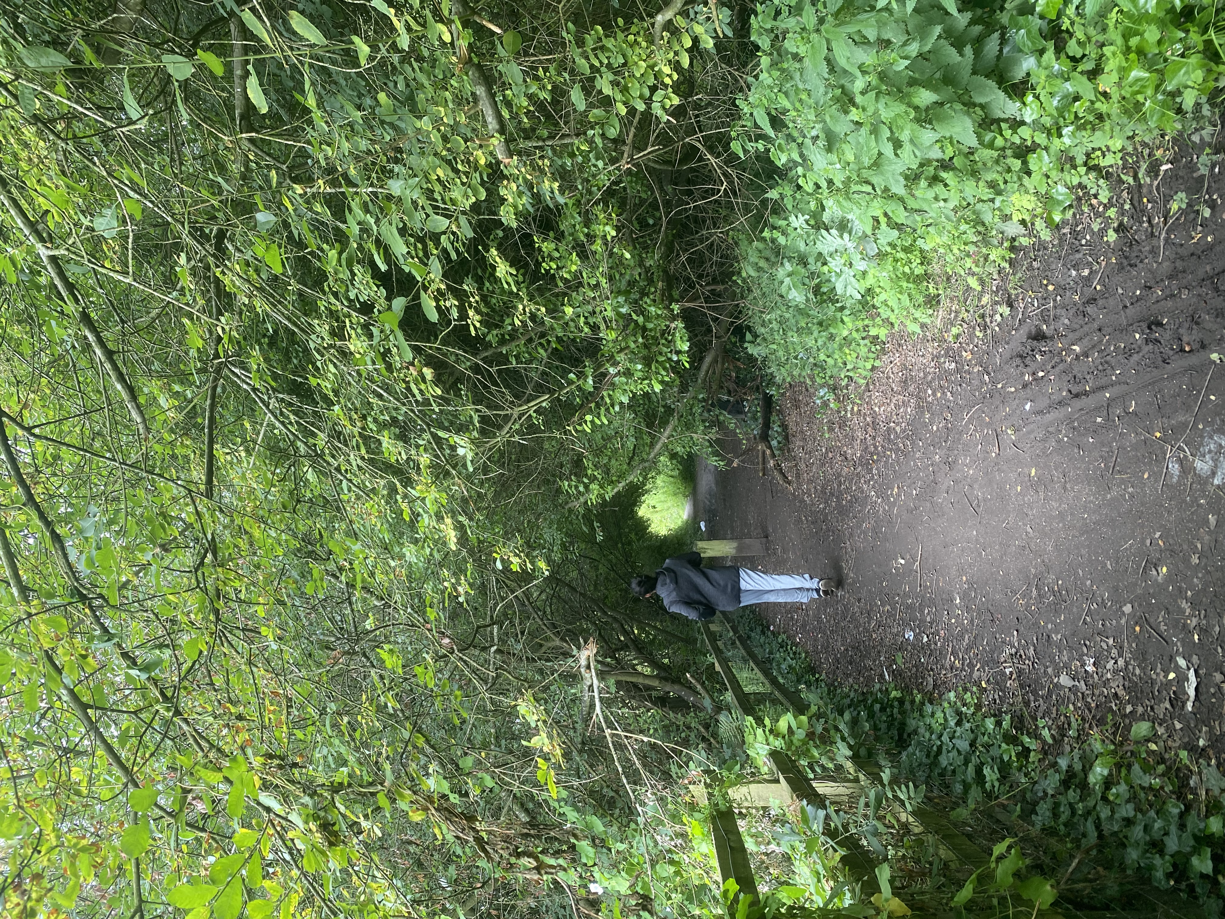 image-6