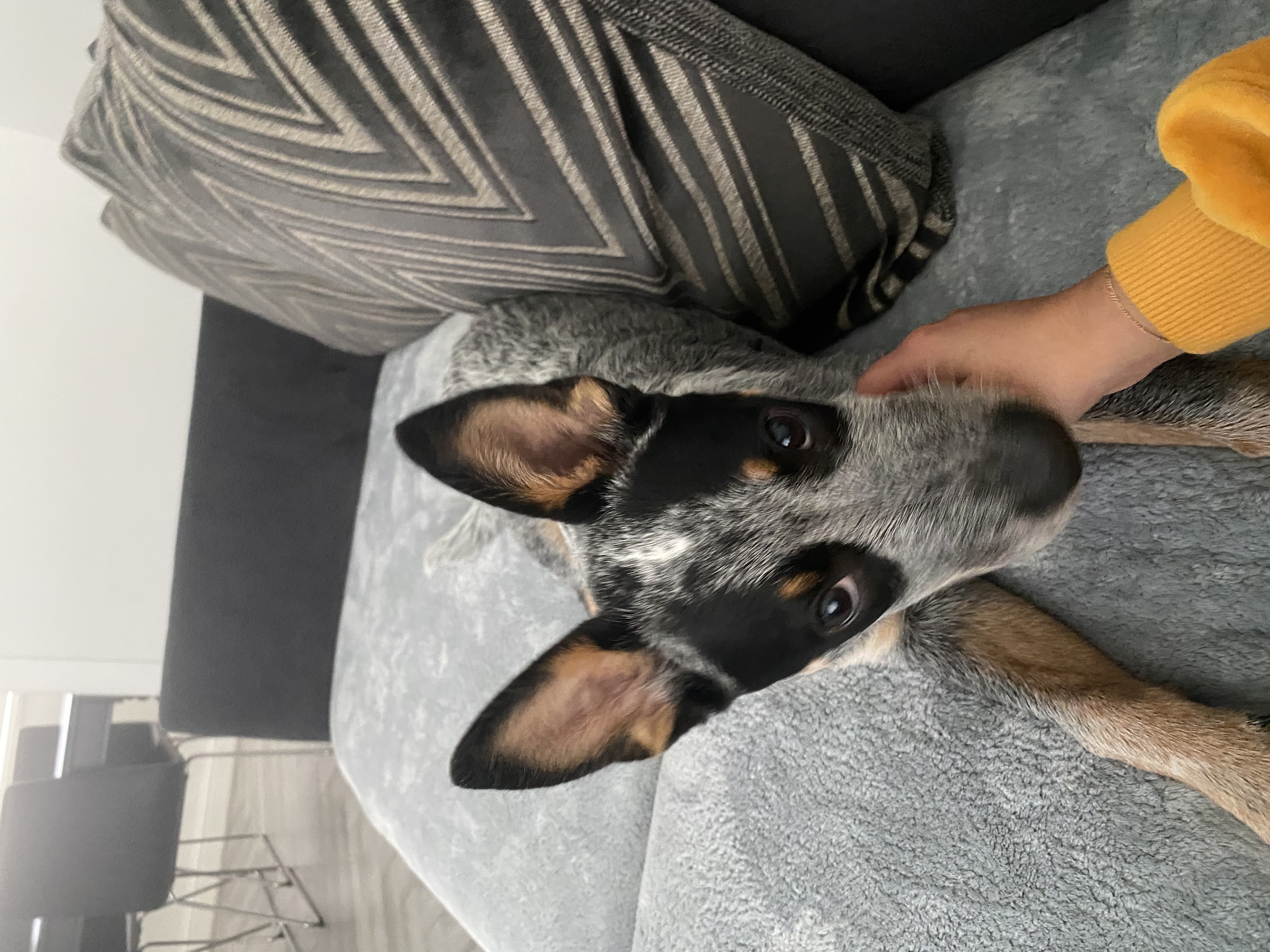 image-8