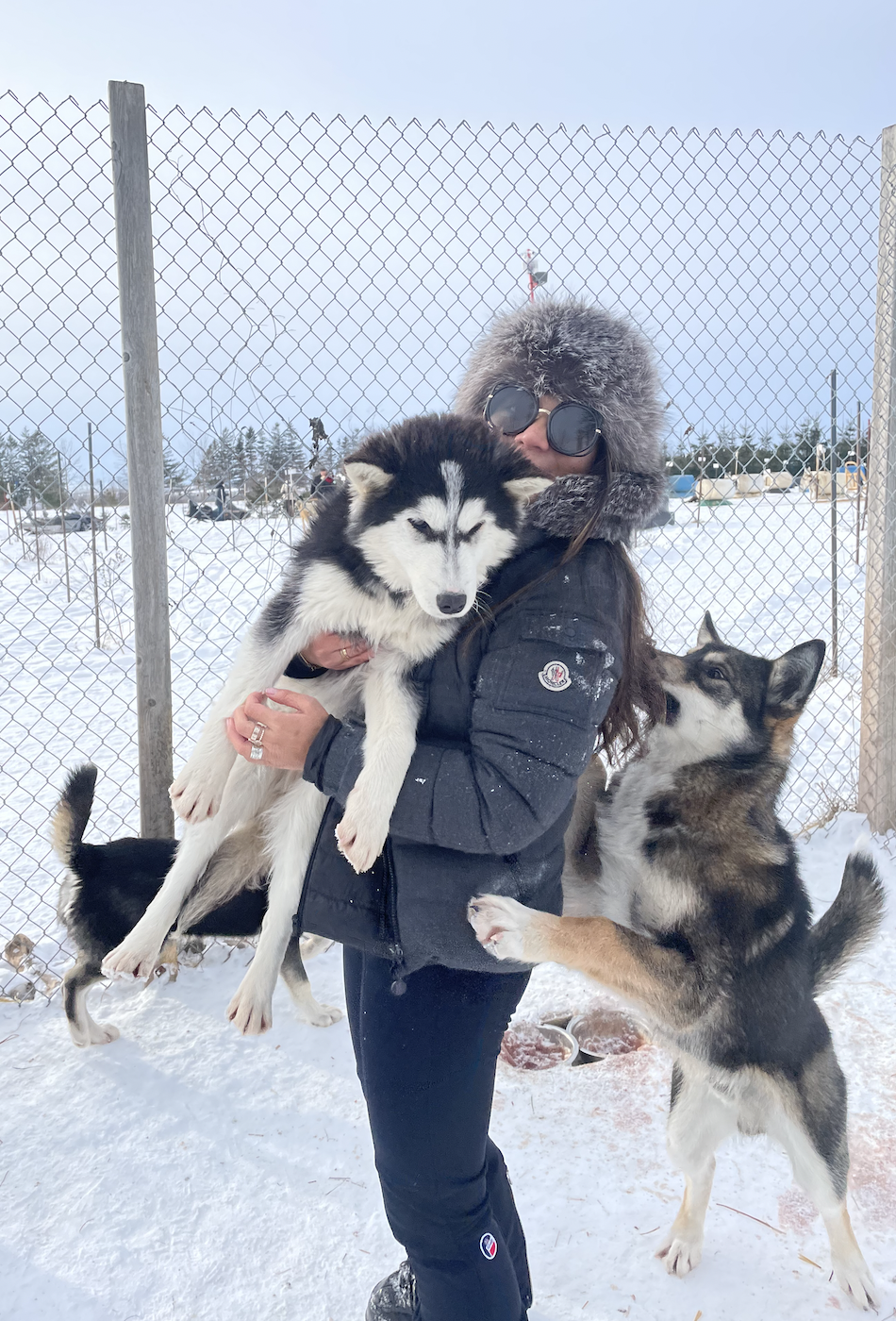image-4