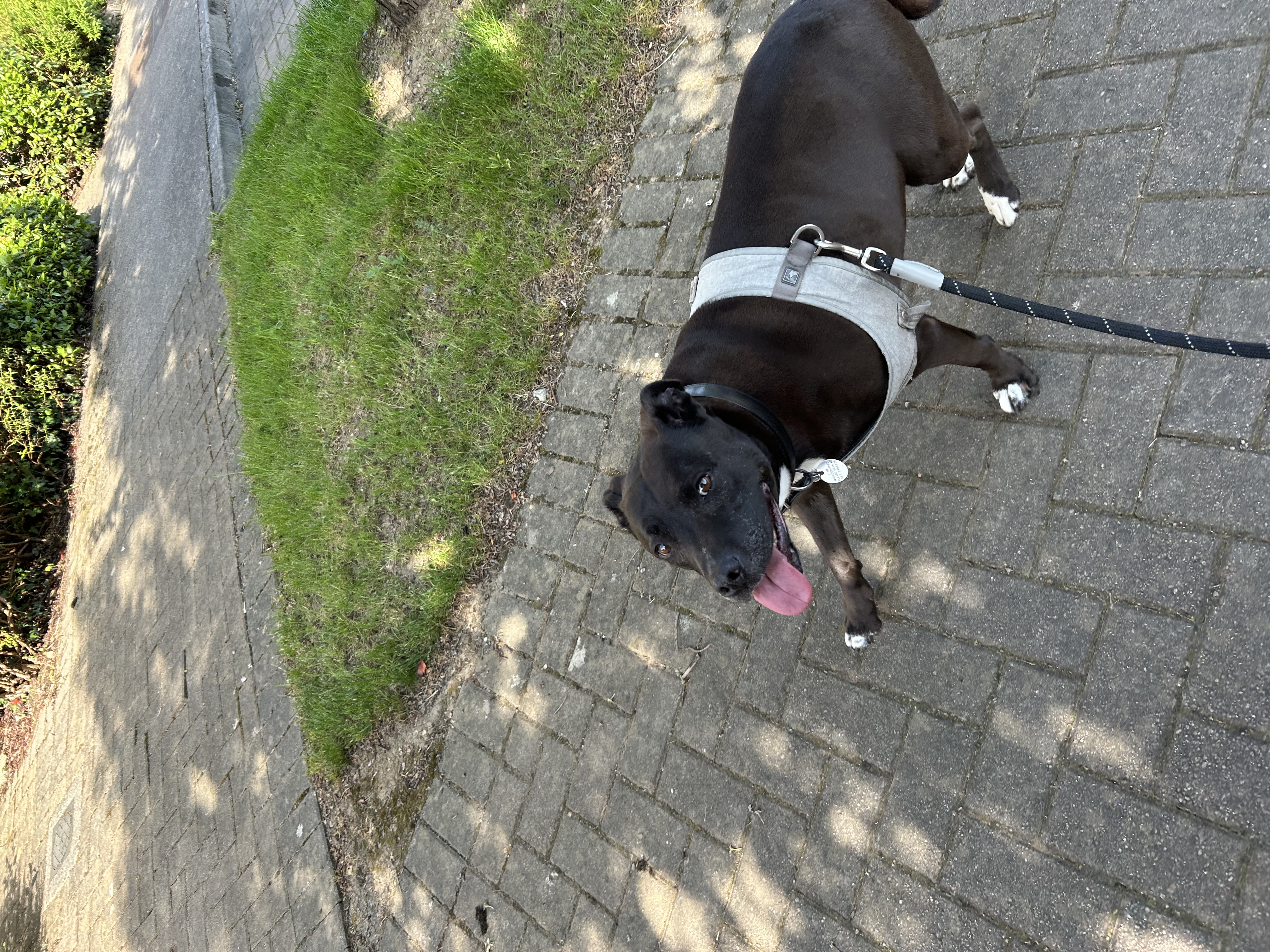 image-9