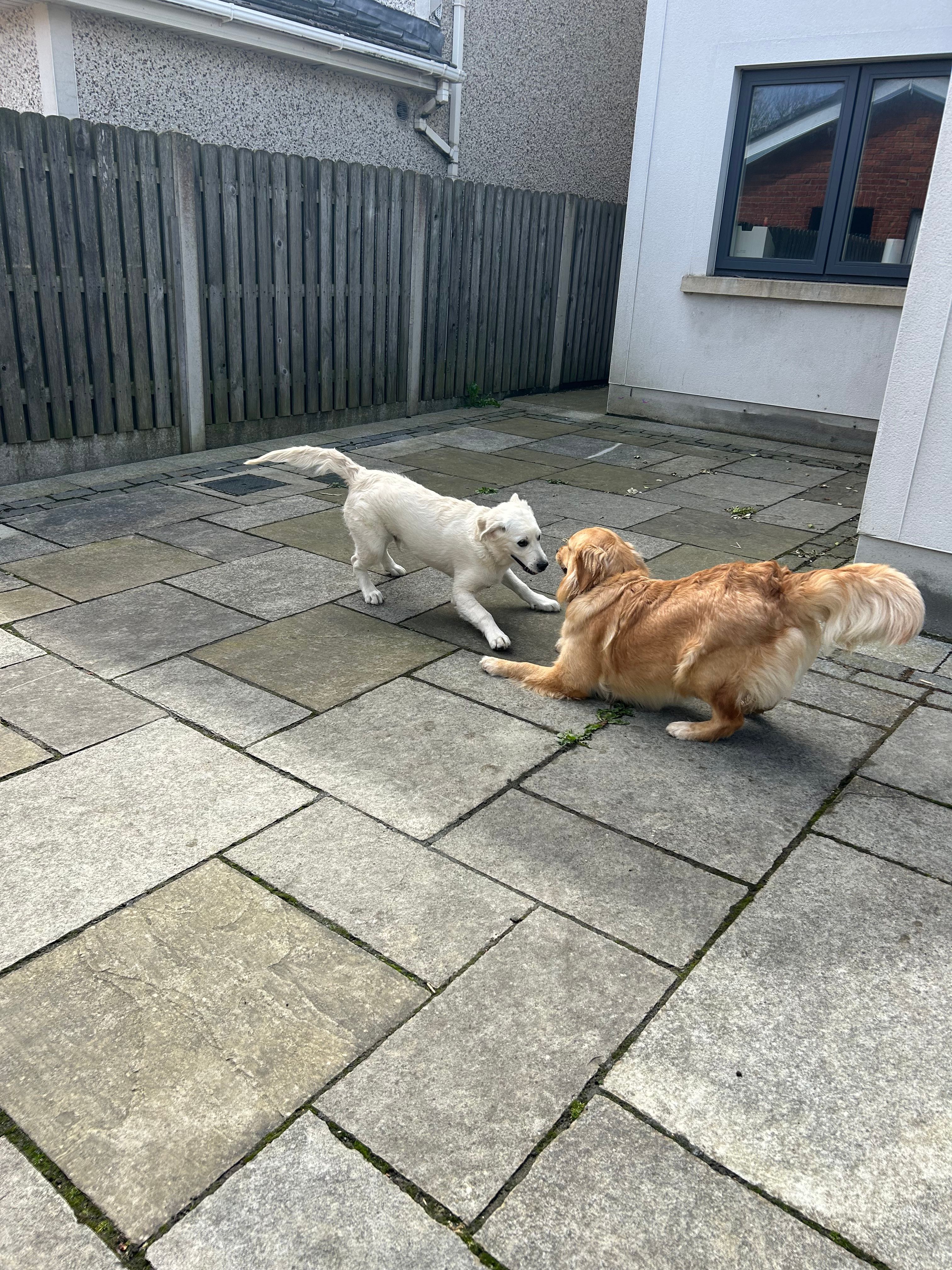 image-19