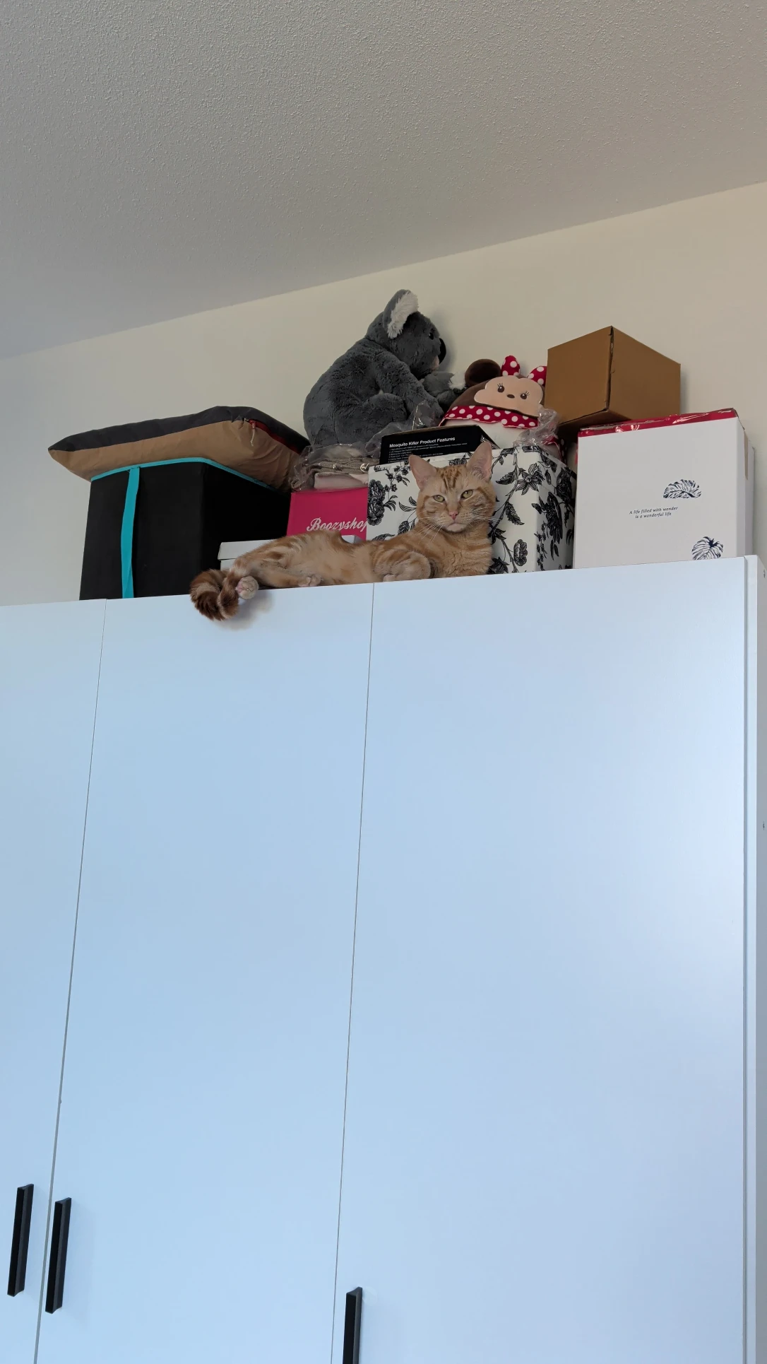image-10