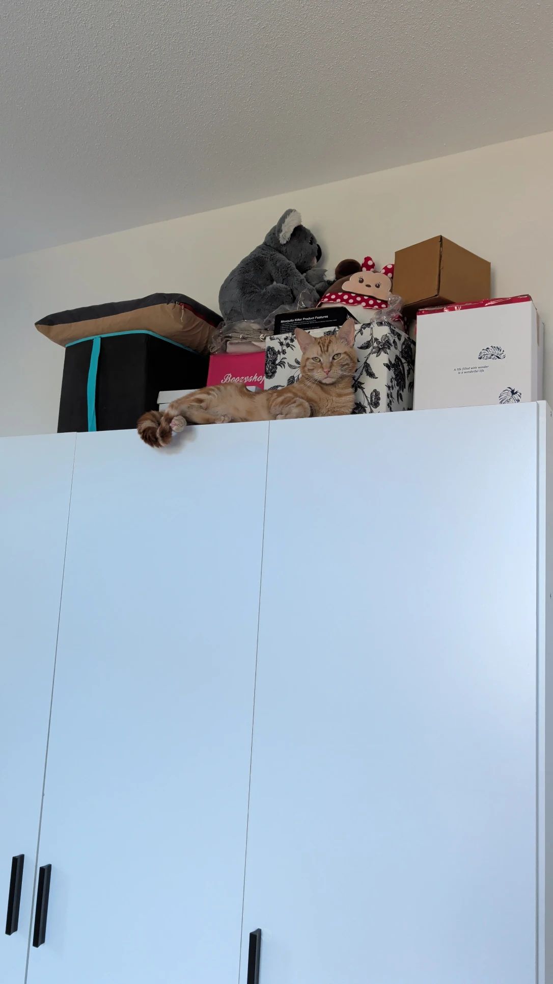 image-10