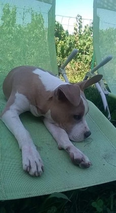 image-6
