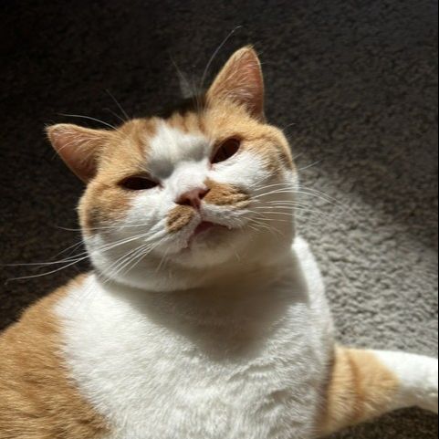 Eddie