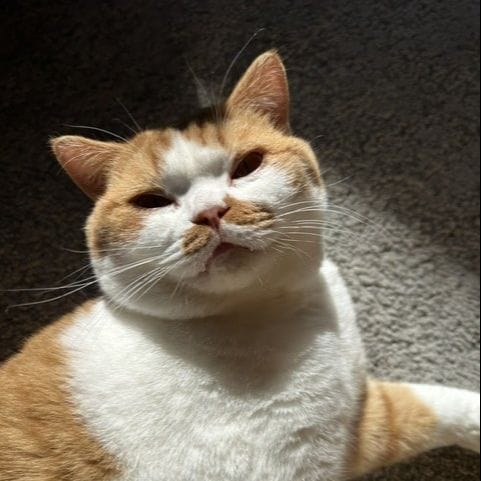 Eddie