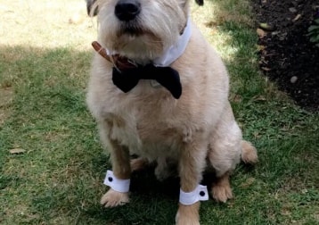Charlie