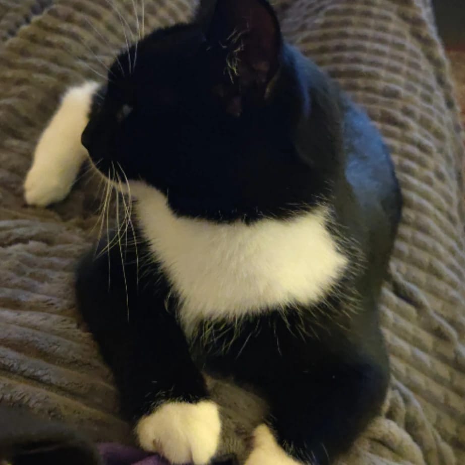 Lulu