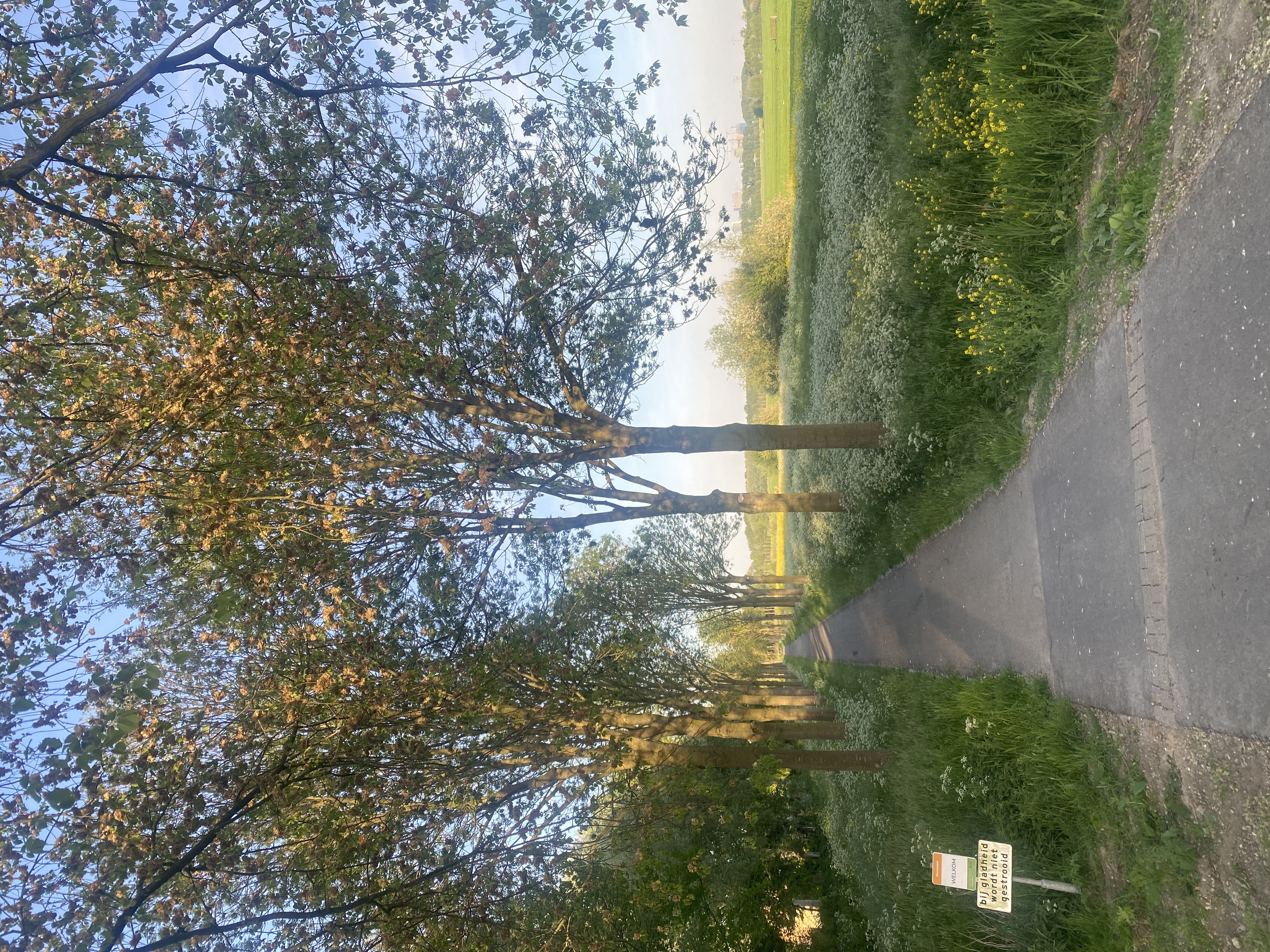 image-14