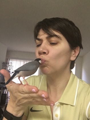 image-7