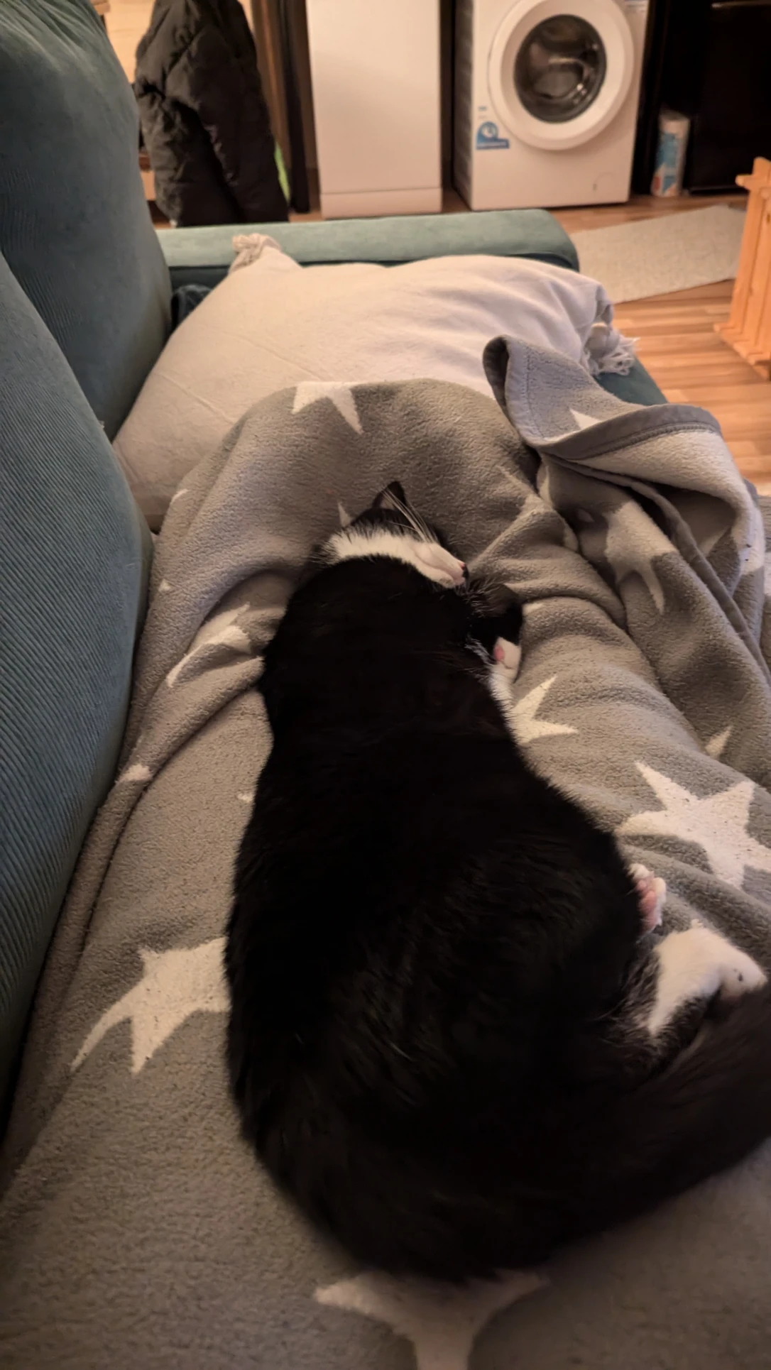 image-13