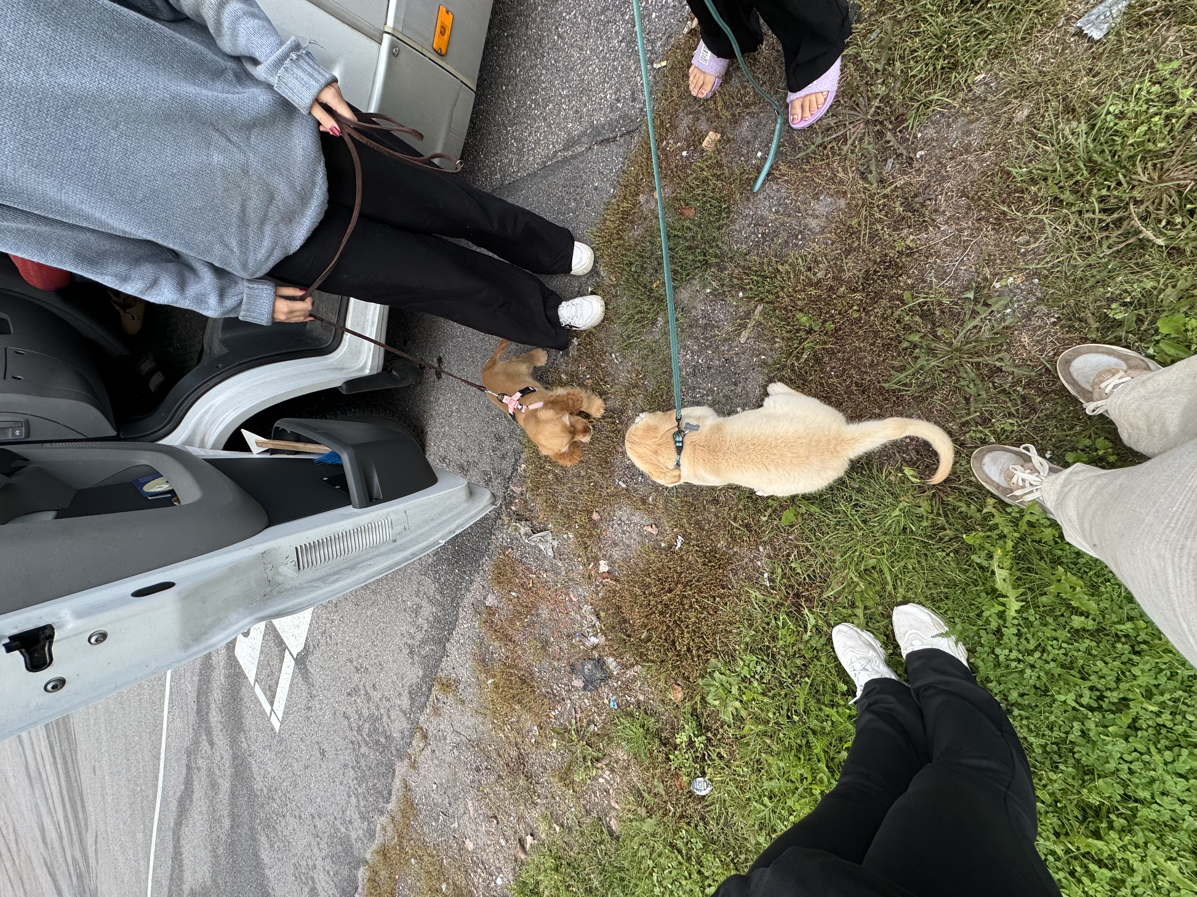 image-6
