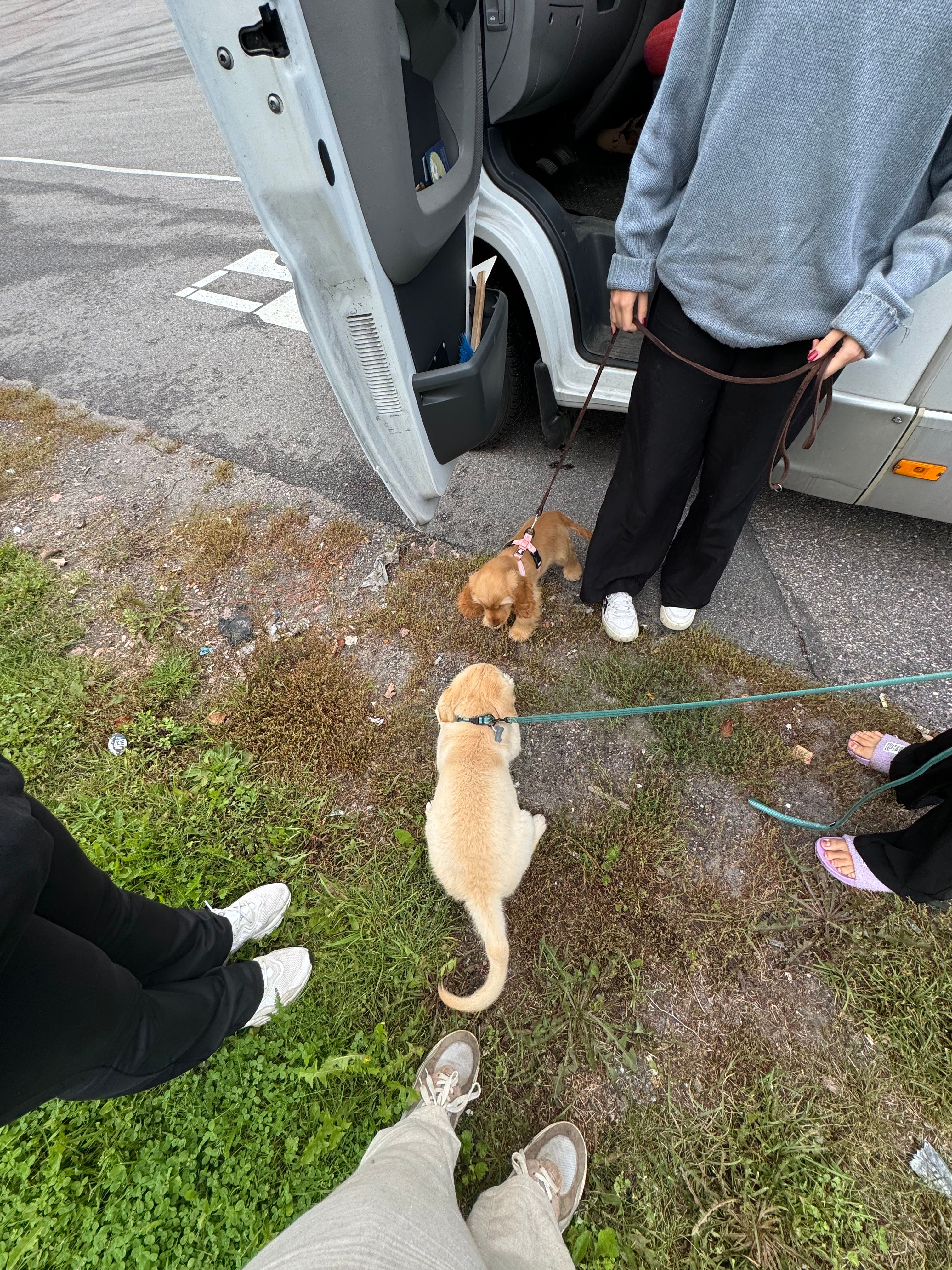 image-6