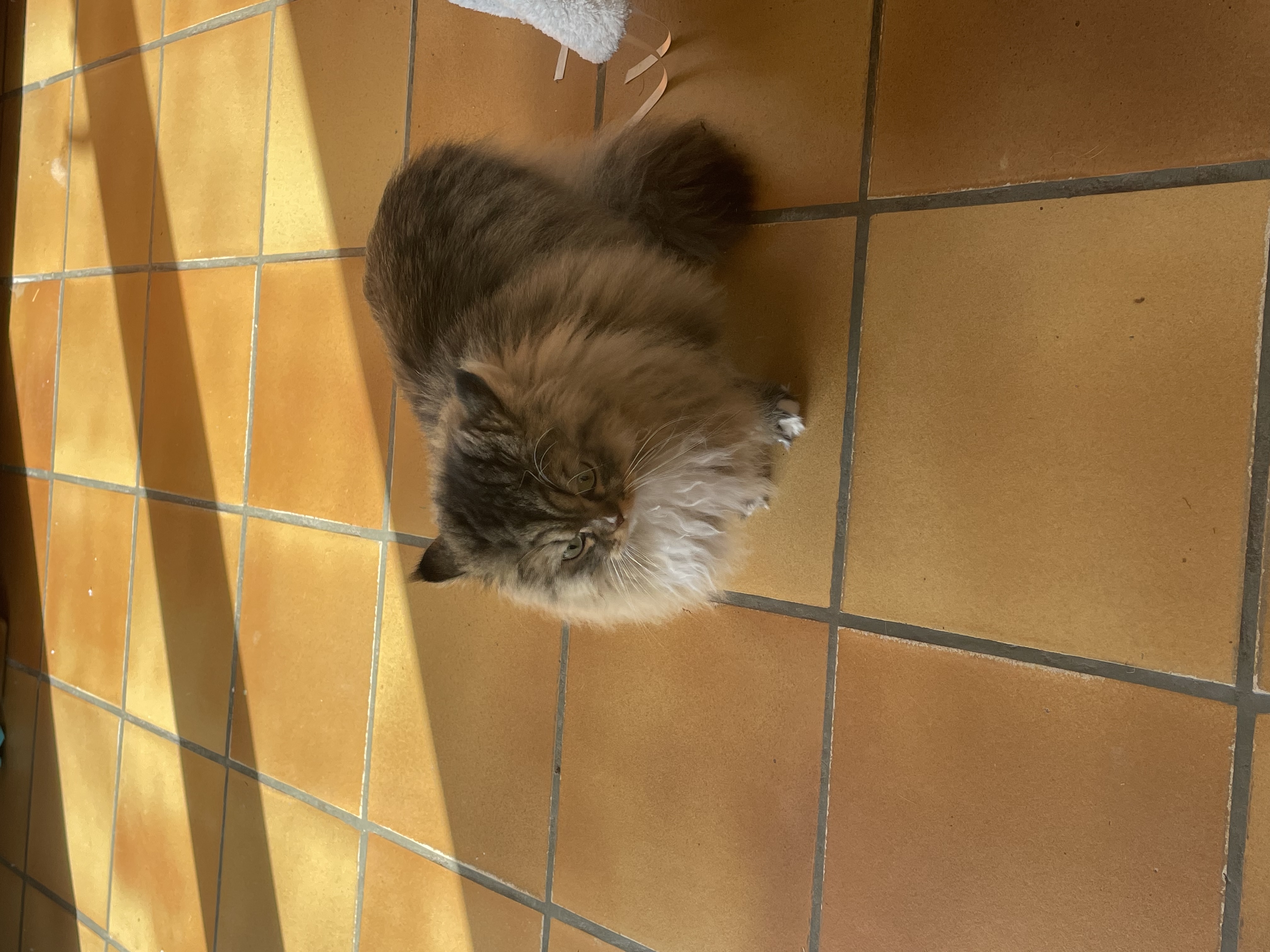 image-16