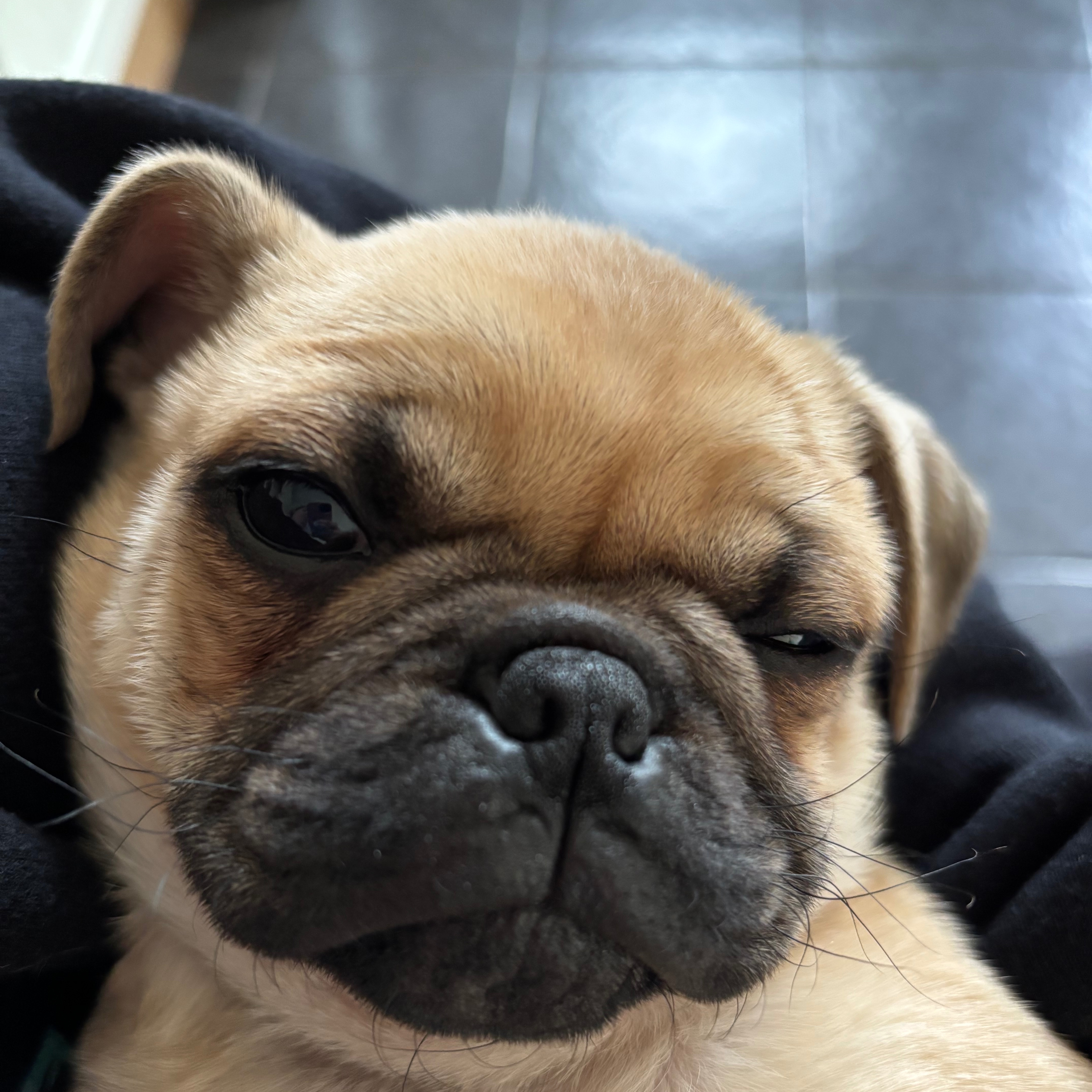 Rosy