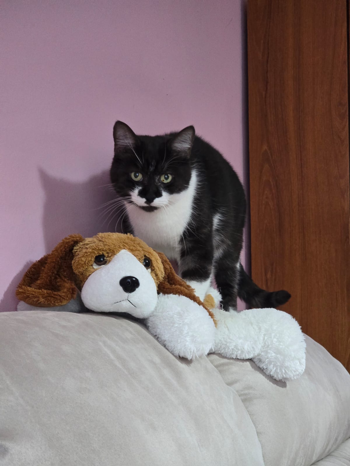 image-9