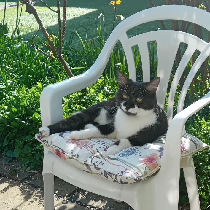 Sammy