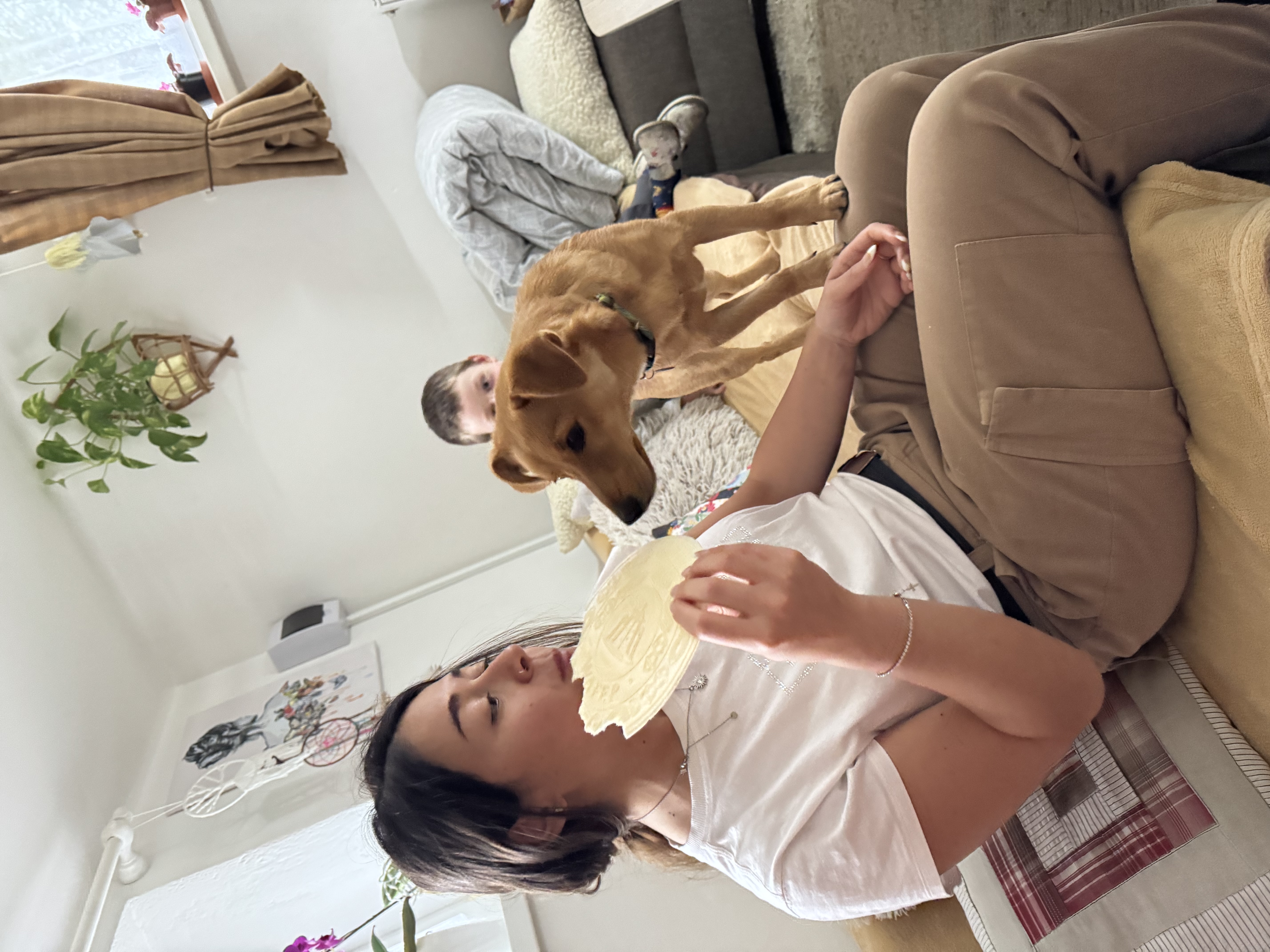 image-20