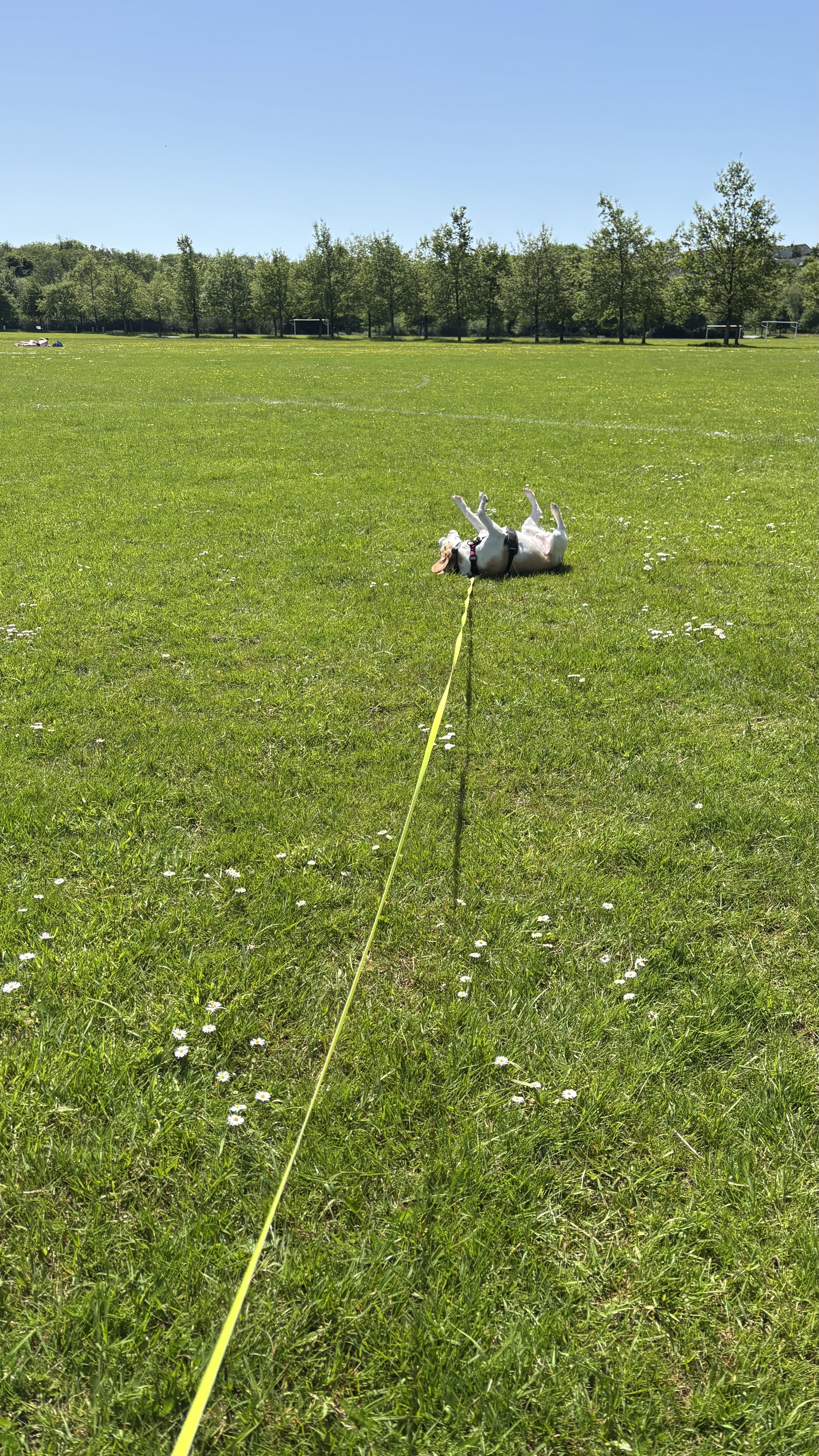 image-29