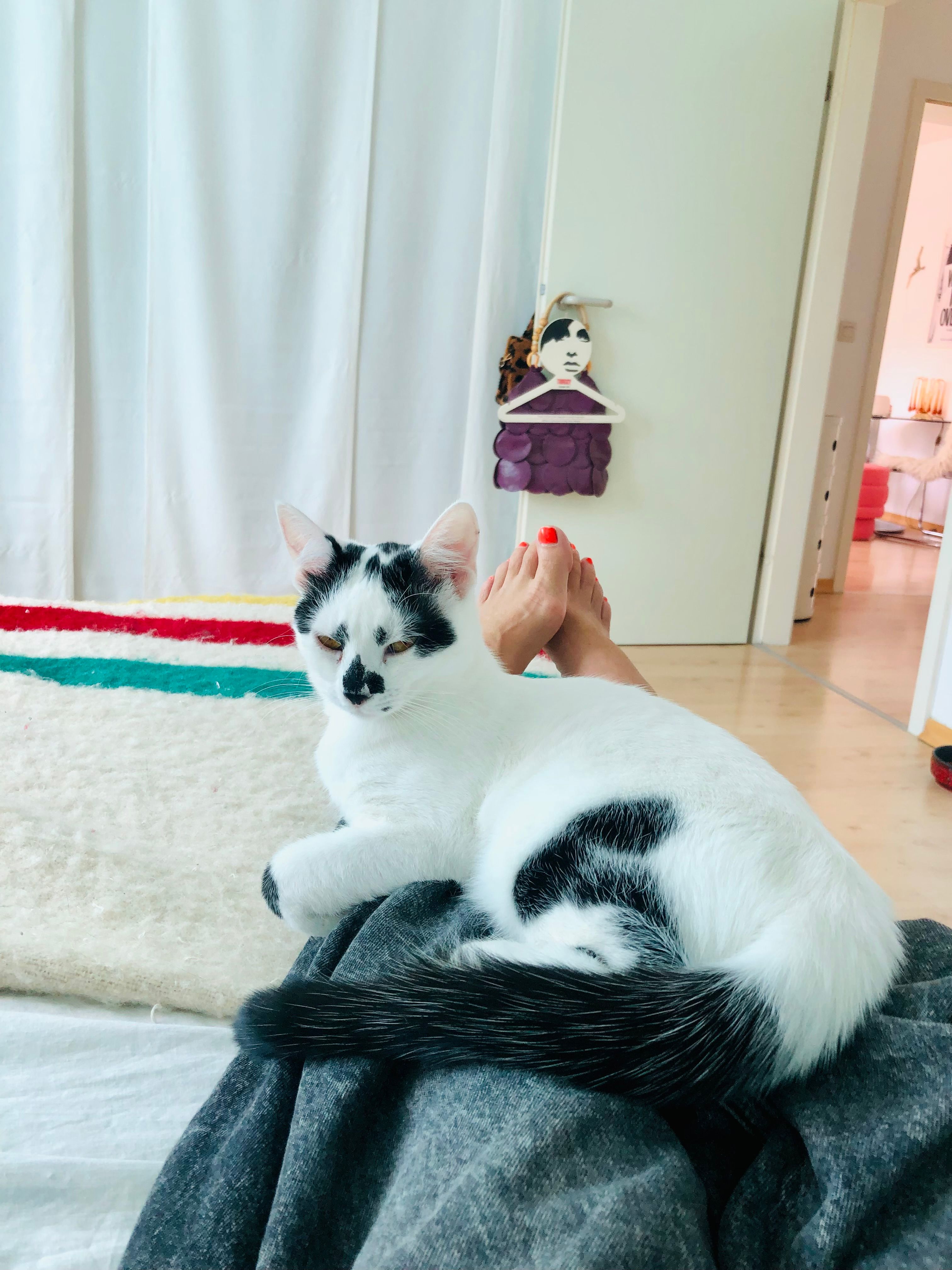 image-7