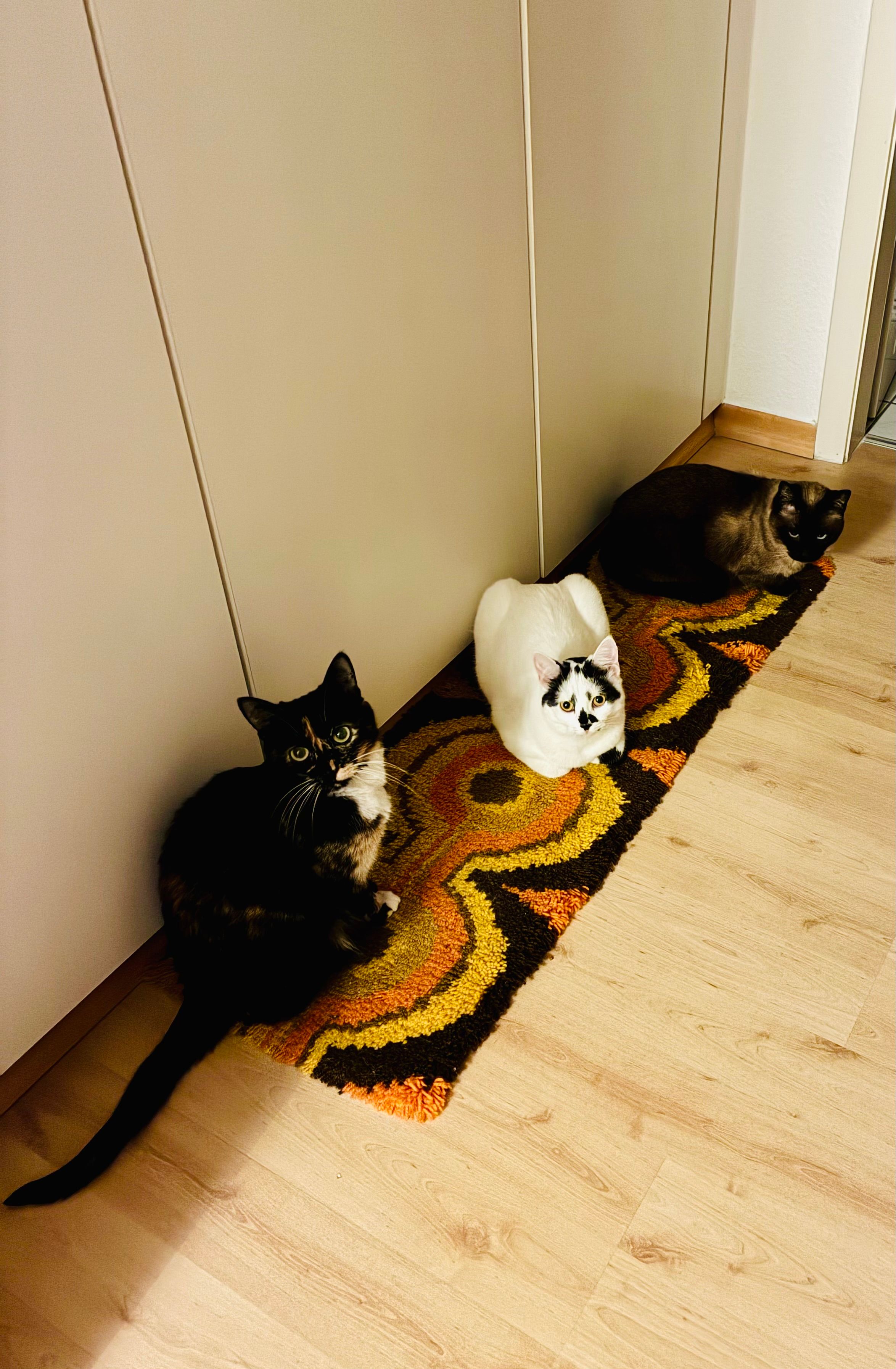image-12