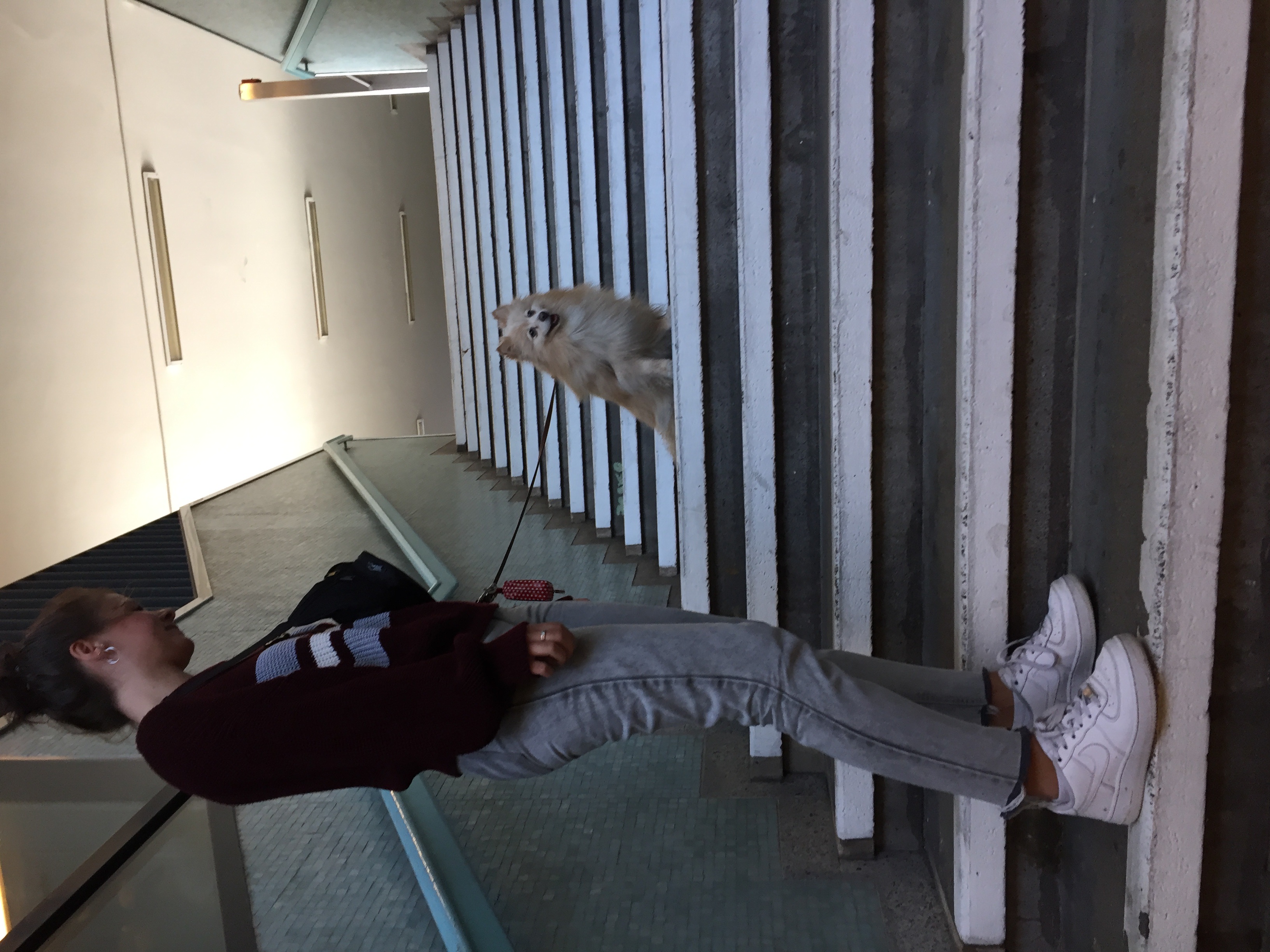 image-7