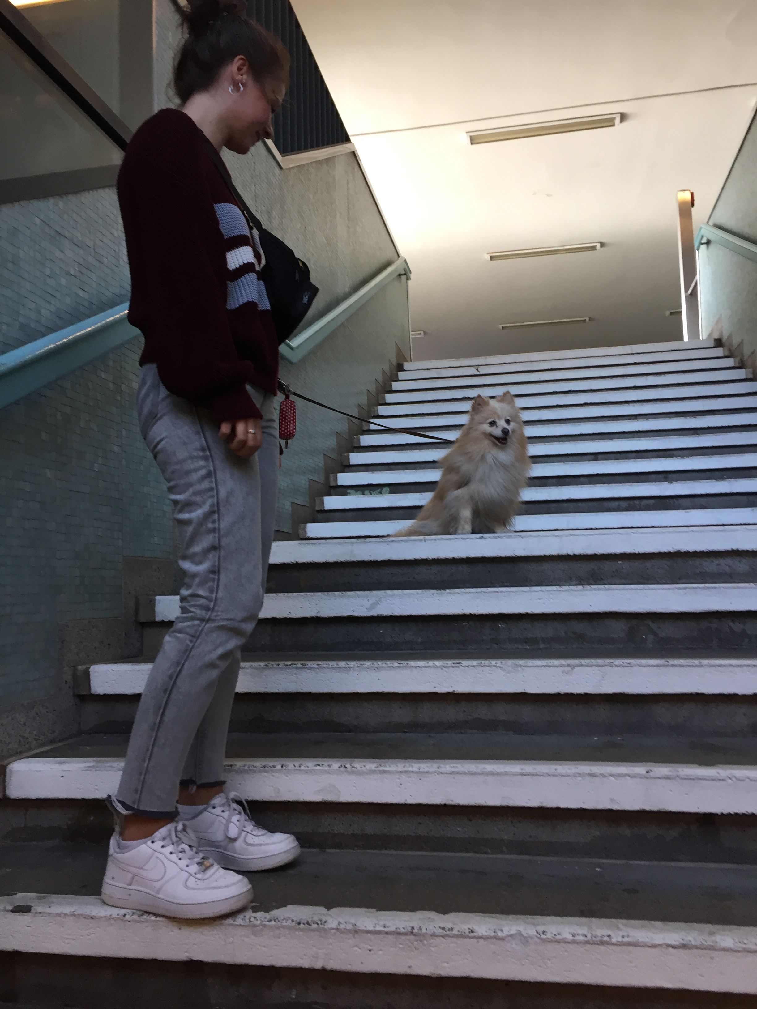 image-7