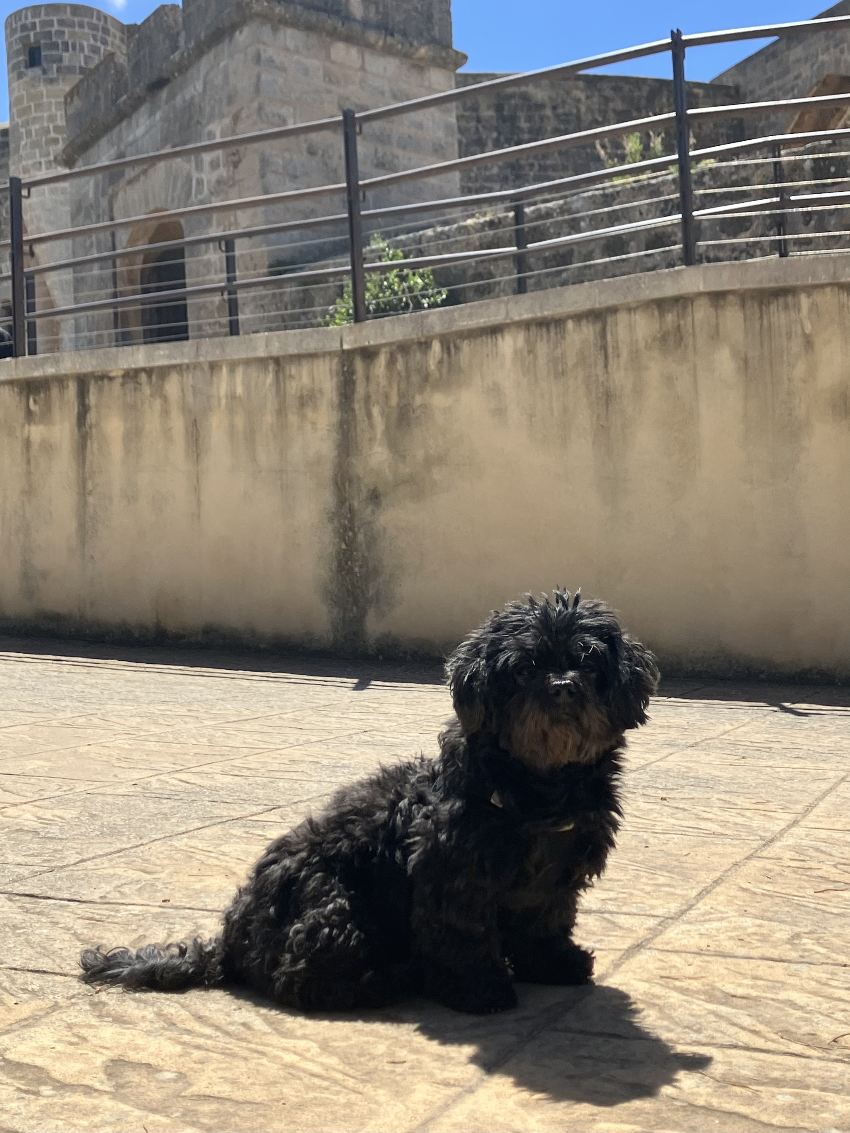 image-6