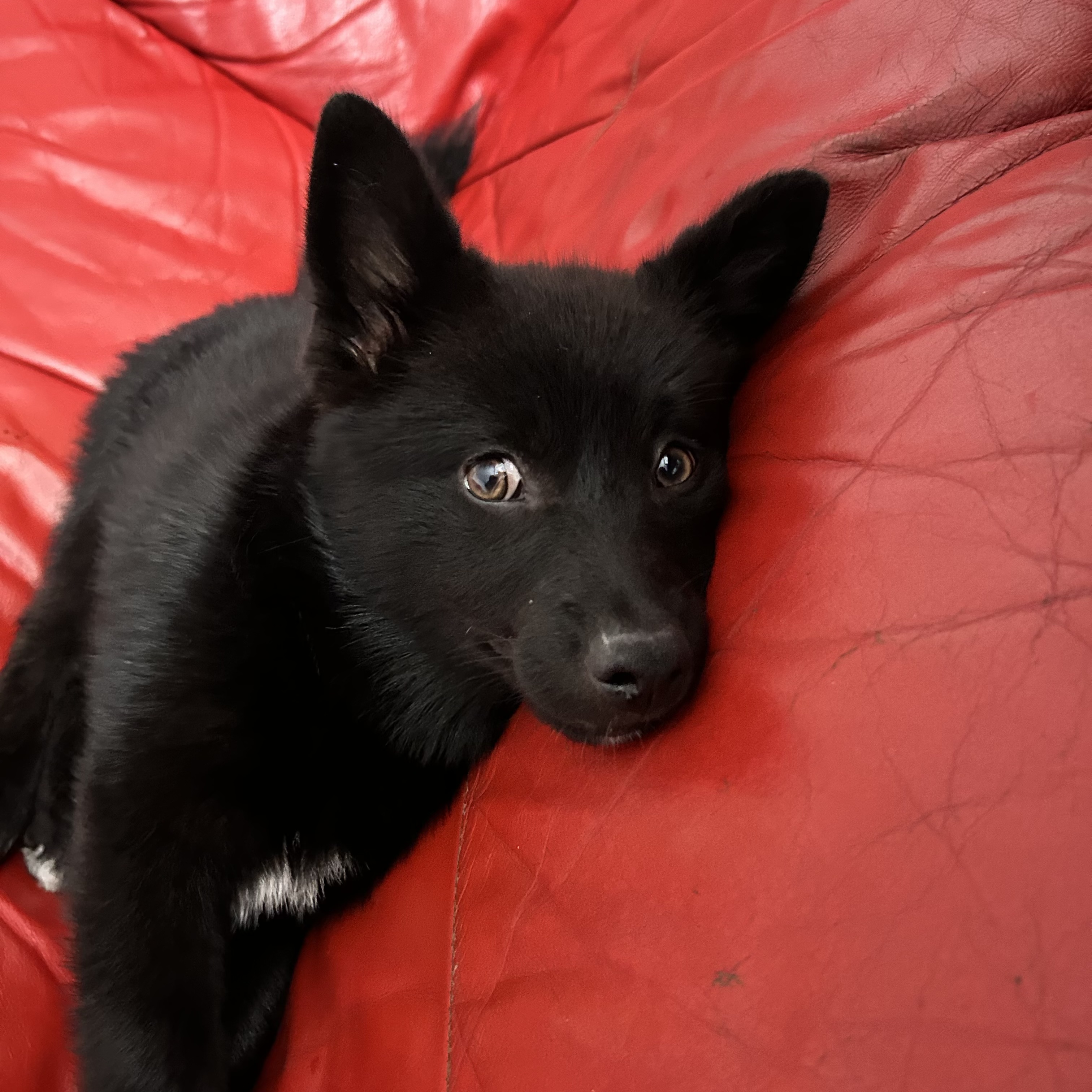 image-9