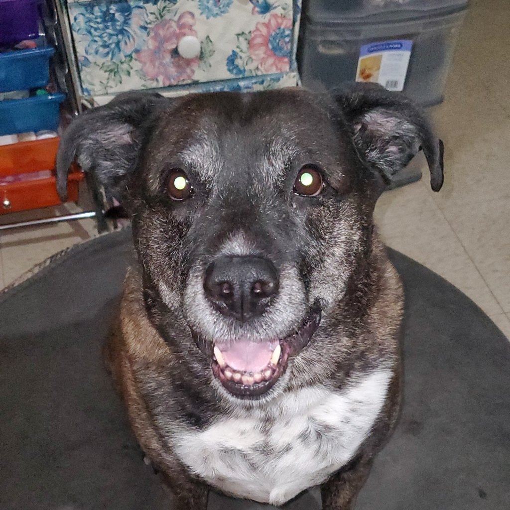 Jetta. A.k.a Jetta Foofer, Jetta Jafoofiness, 