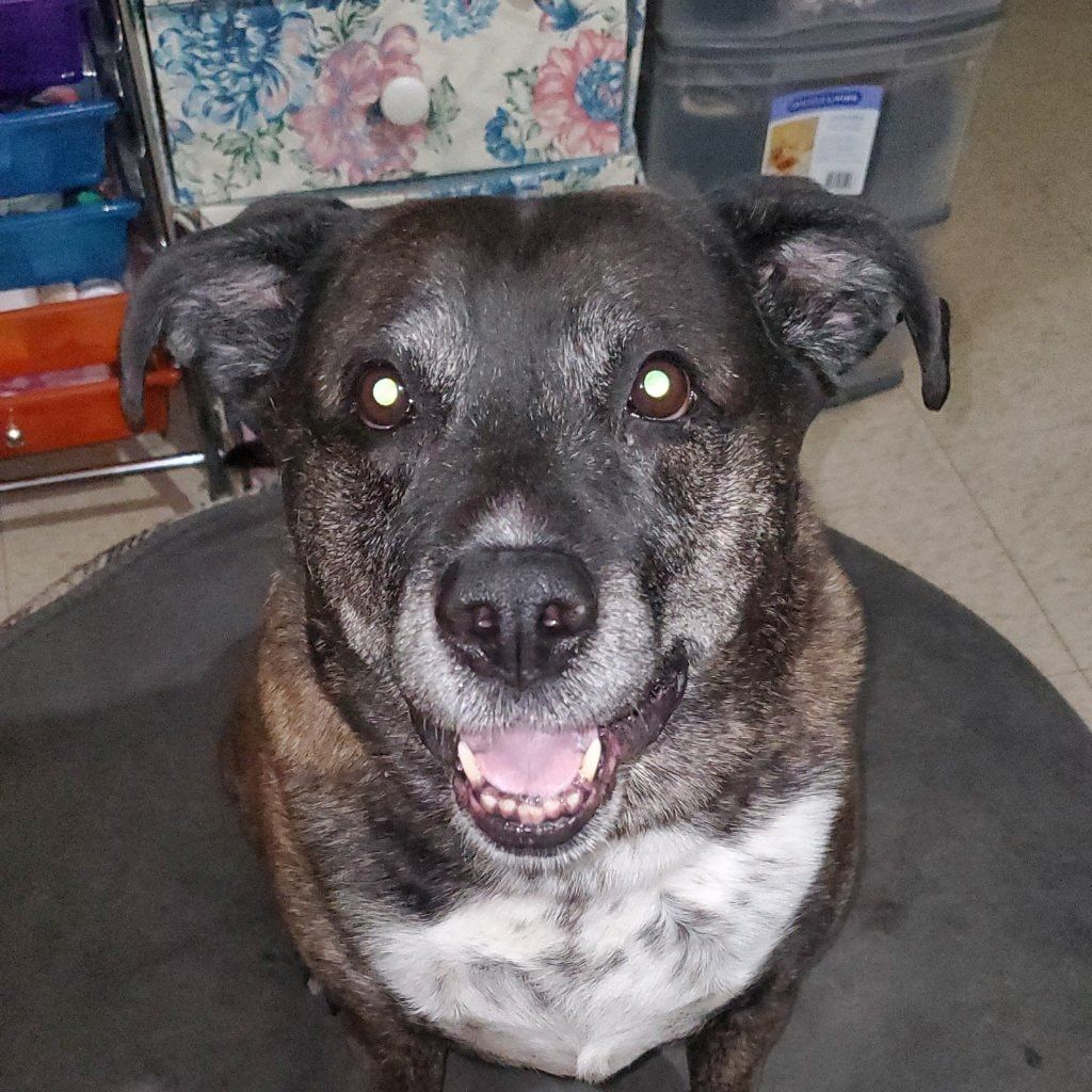 Jetta. A.k.a Jetta Foofer, Jetta Jafoofiness,