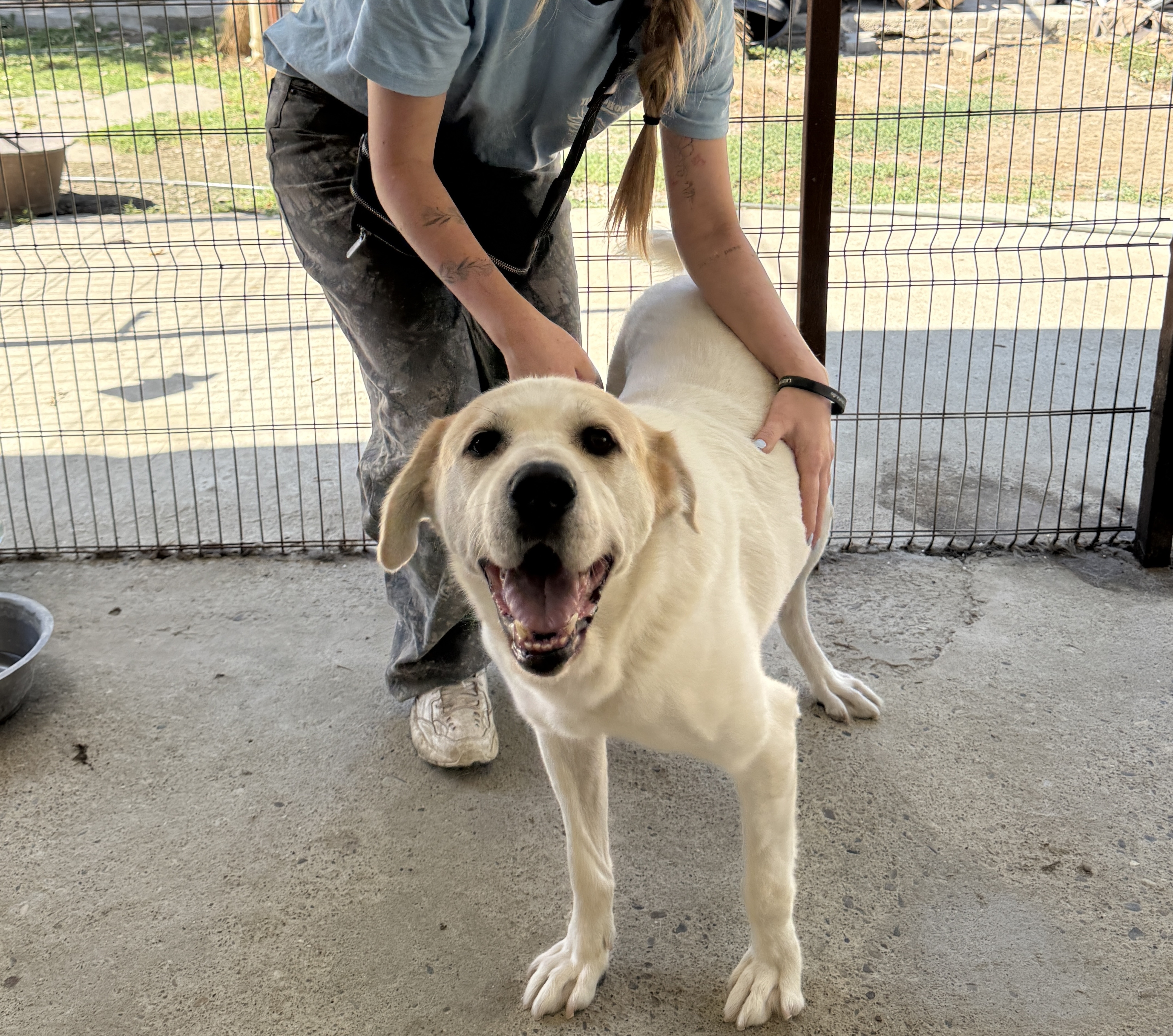 image-4