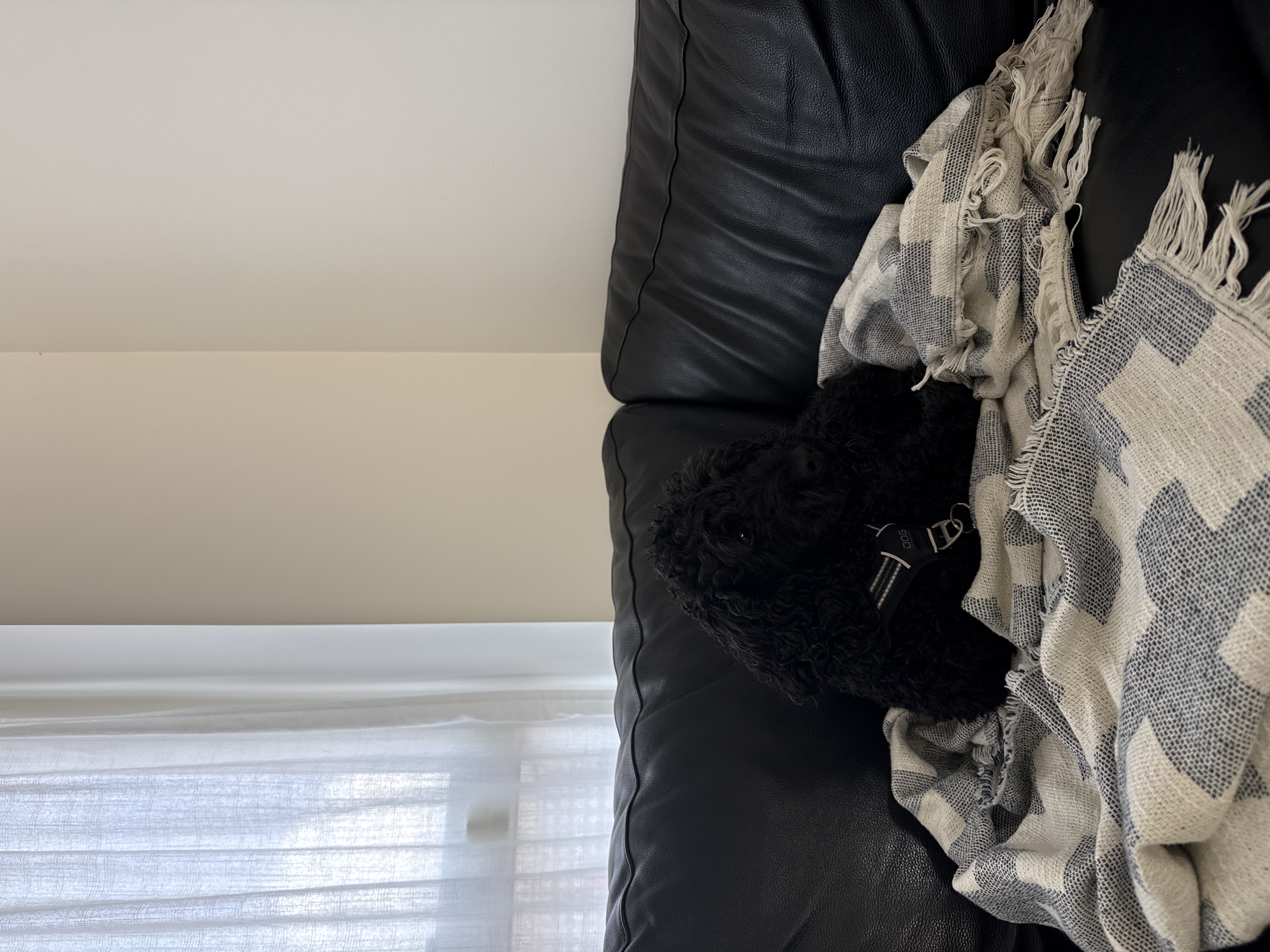 image-10