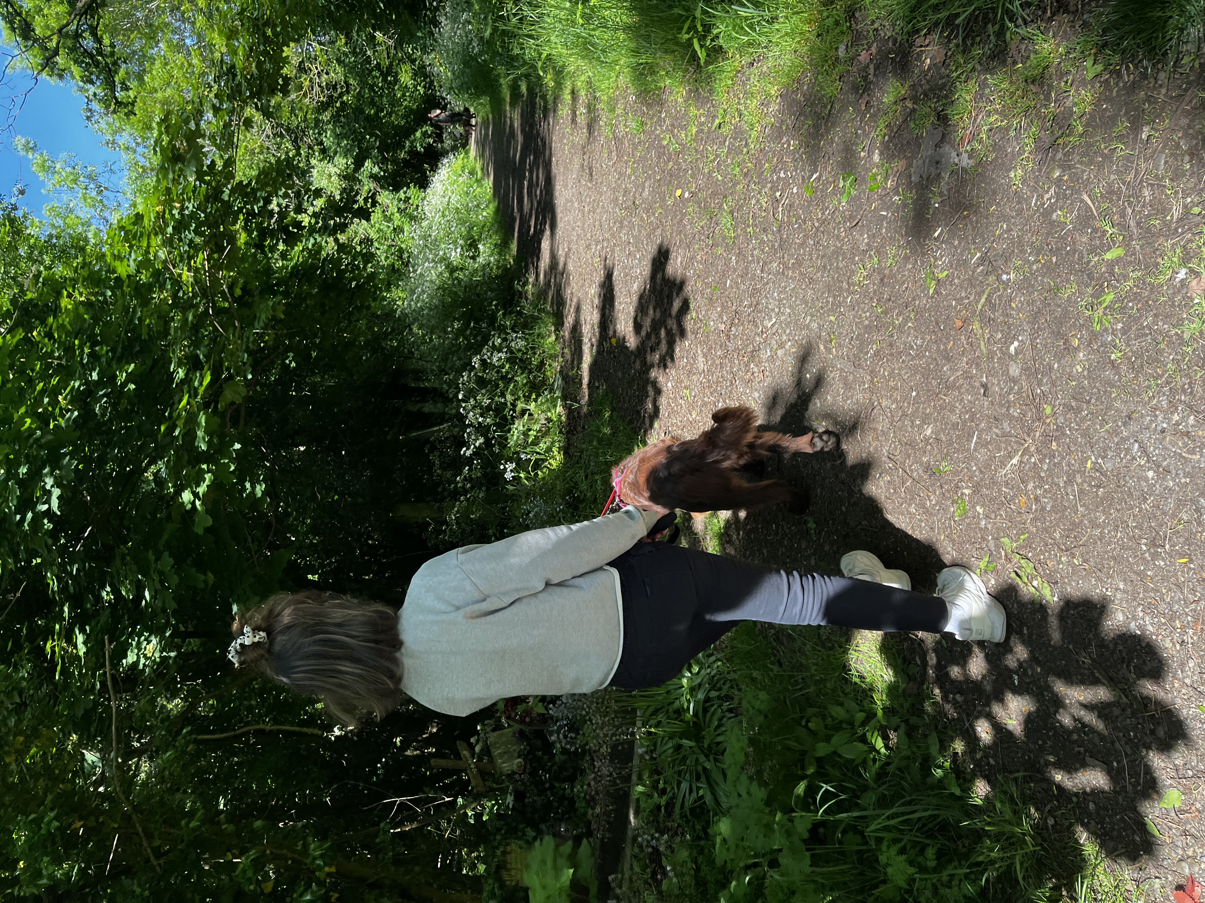 image-5