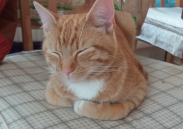 Charlie