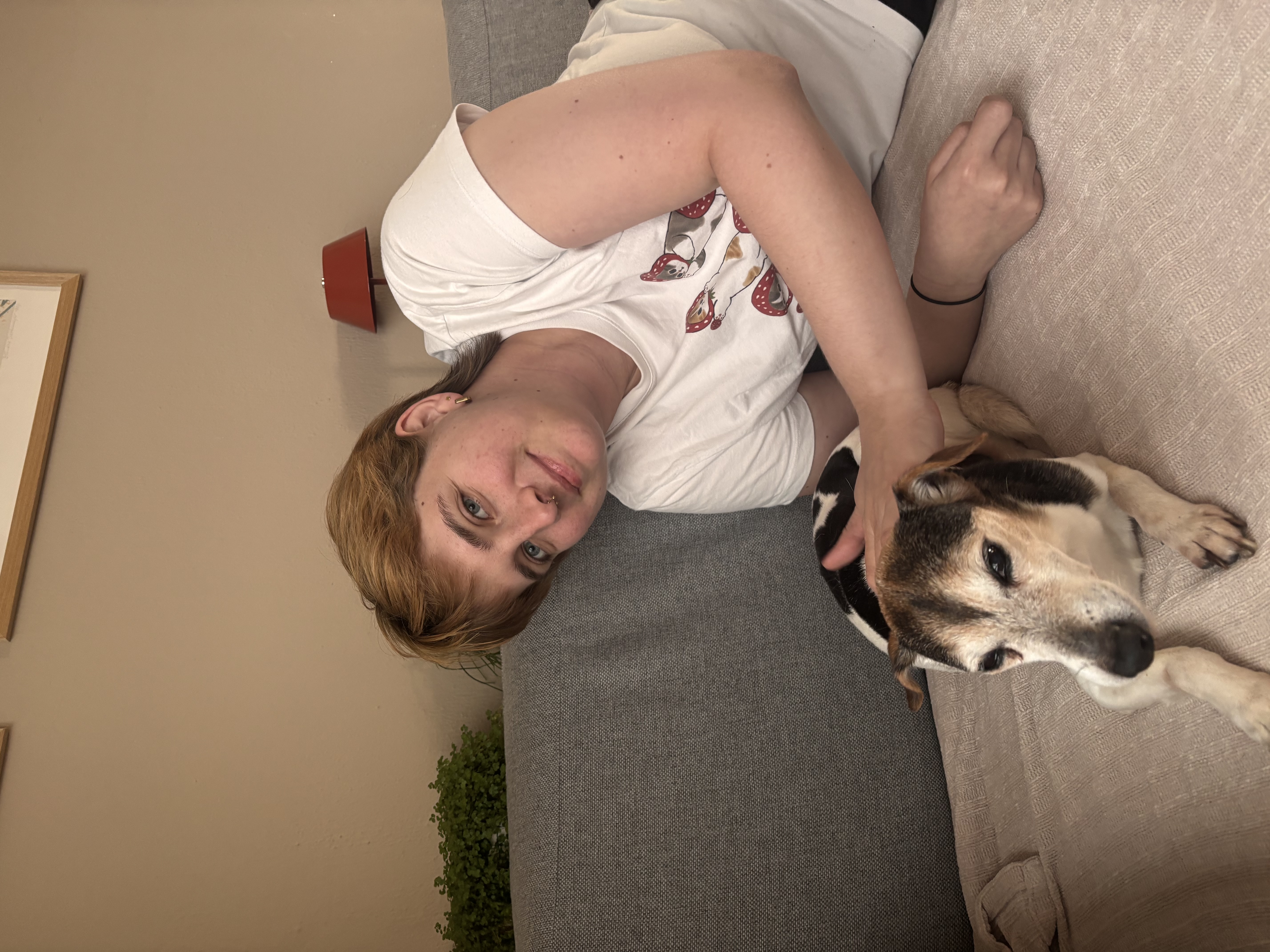 image-4